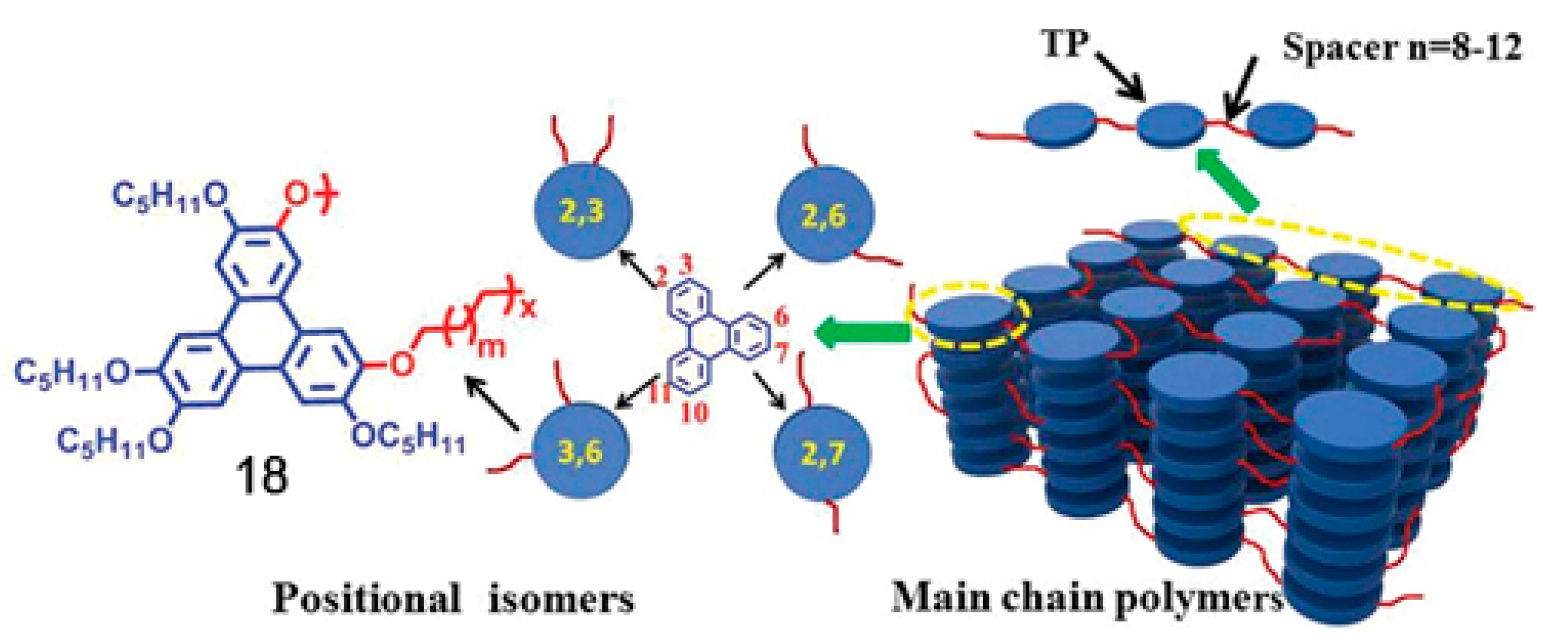 Ijms 22 00877 g021 Ijms 22 00877 g021