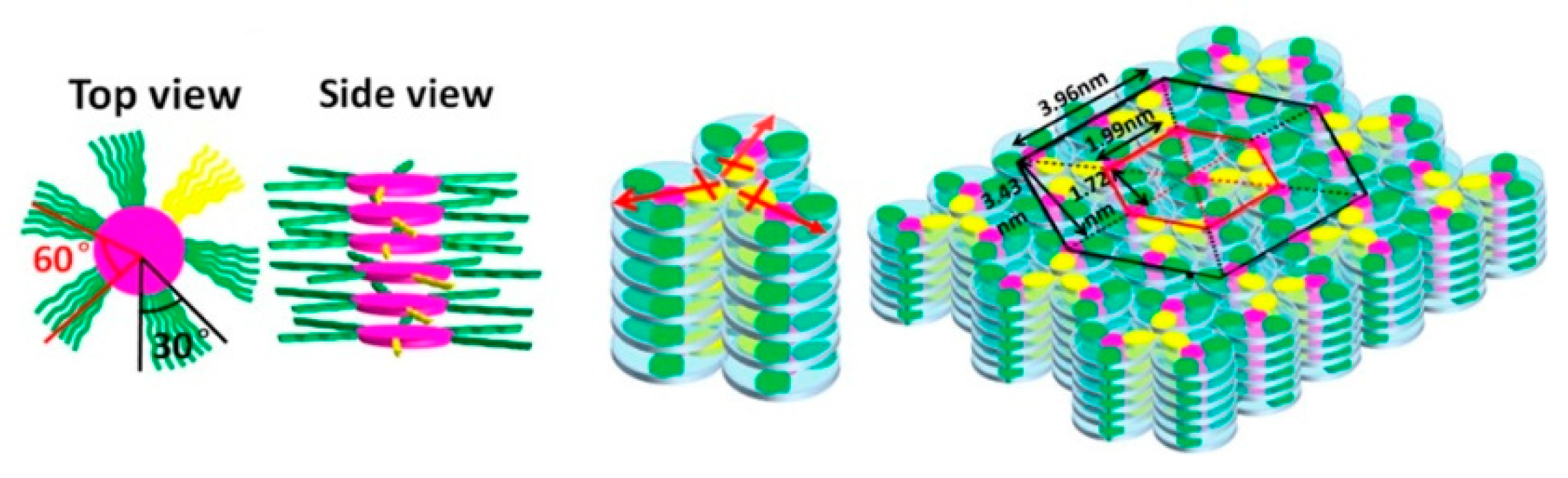 Ijms 22 00877 g022 Ijms 22 00877 g022