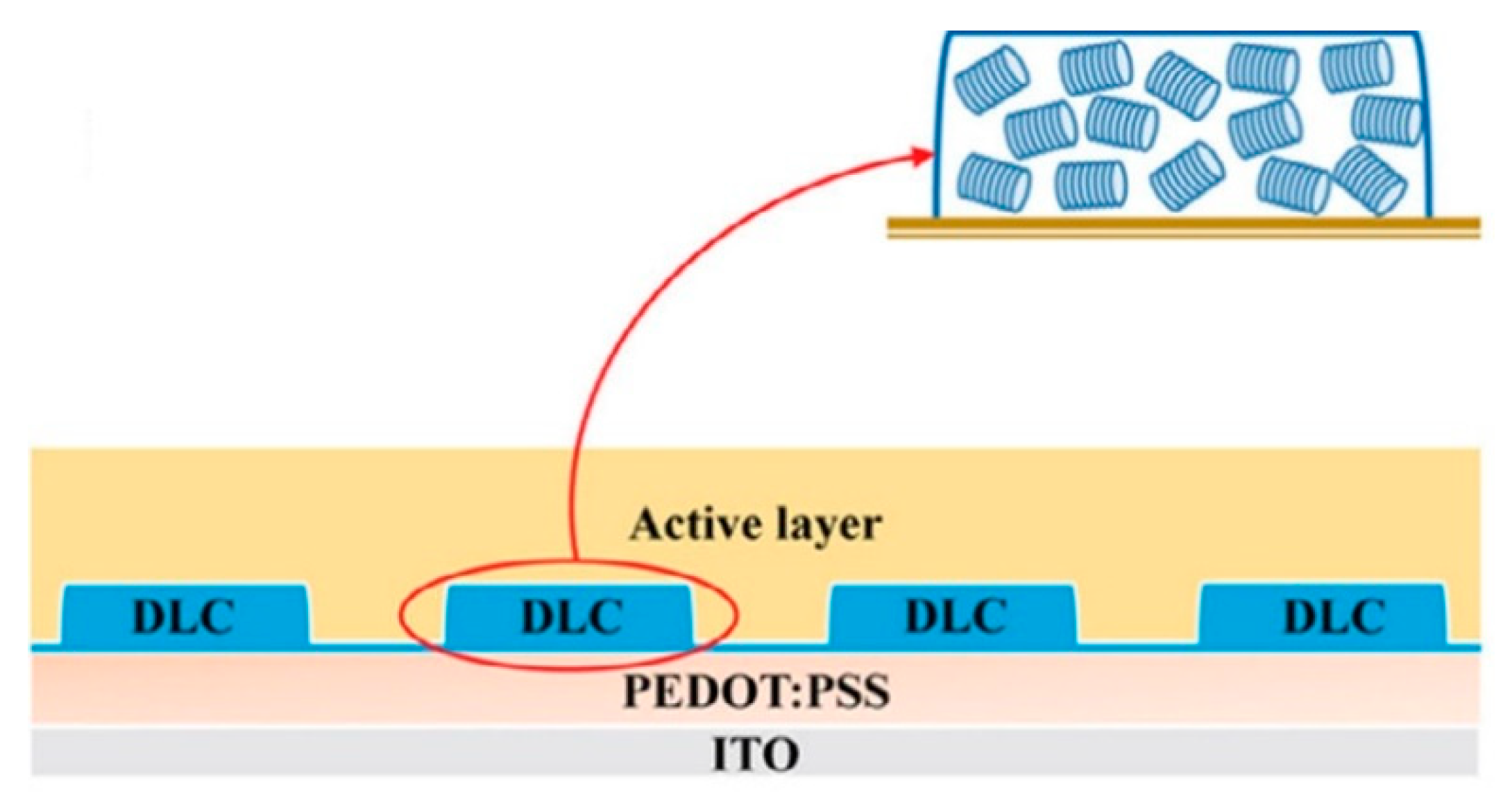 Ijms 22 00877 g036 Ijms 22 00877 g036