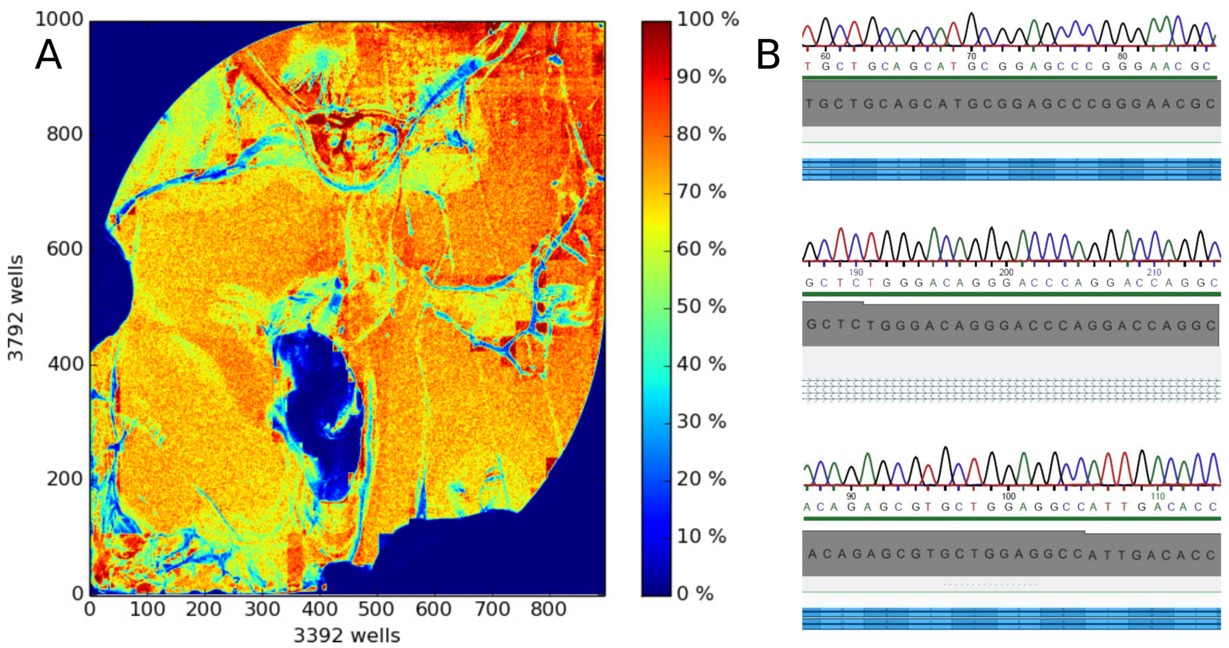 Ijms 22 00878 g002 Ijms 22 00878 g002
