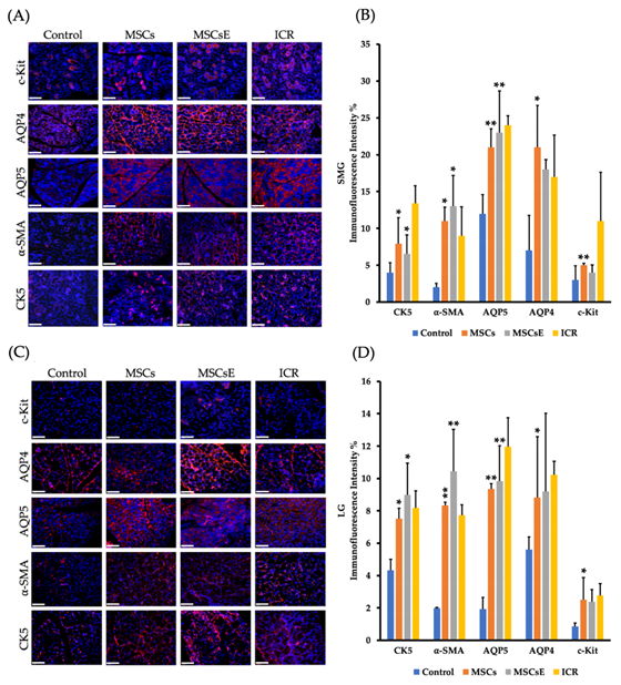 Ijms 22 00894 i001 Ijms 22 00894 i001