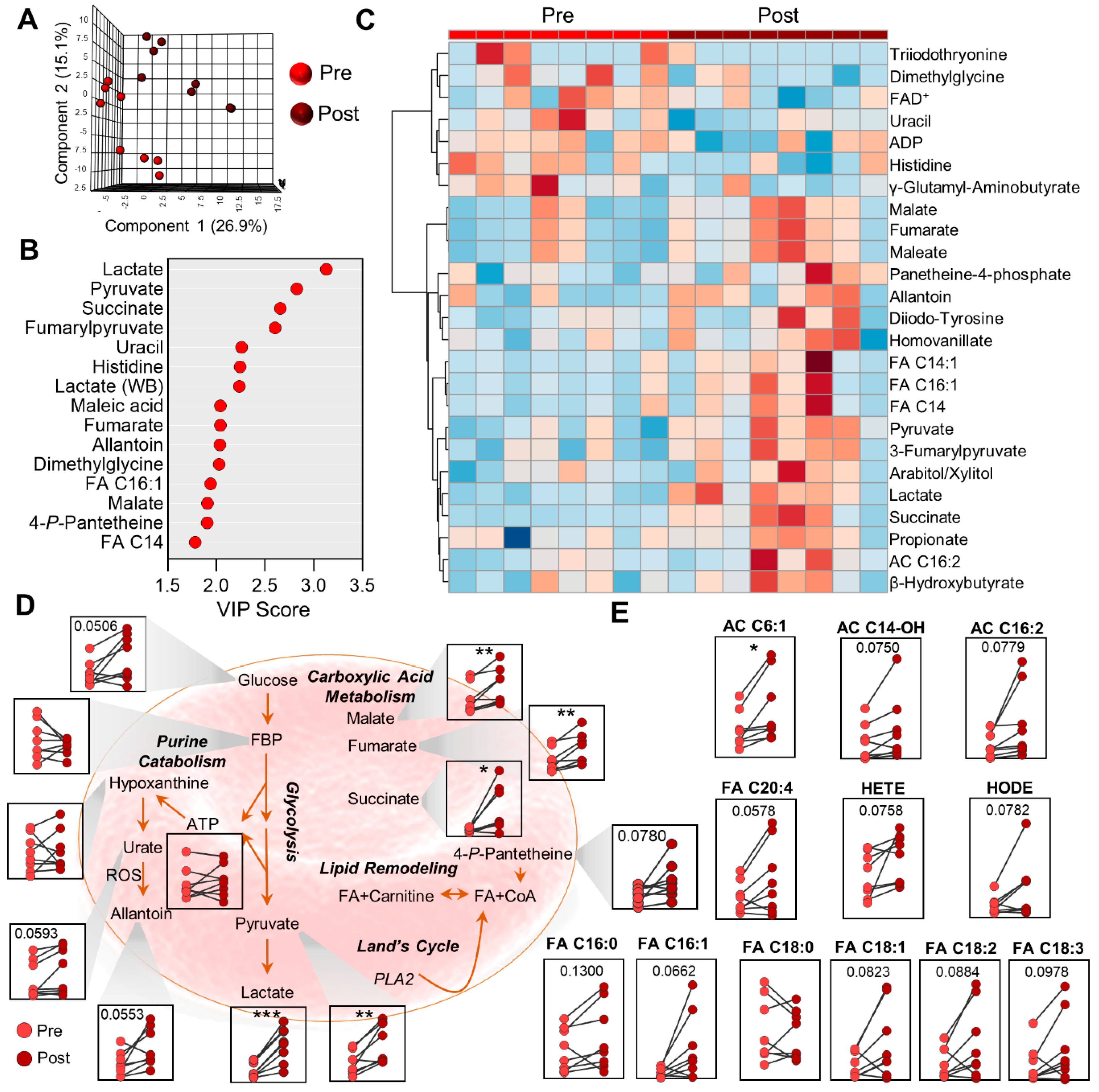Ijms 22 00896 g004 Ijms 22 00896 g004