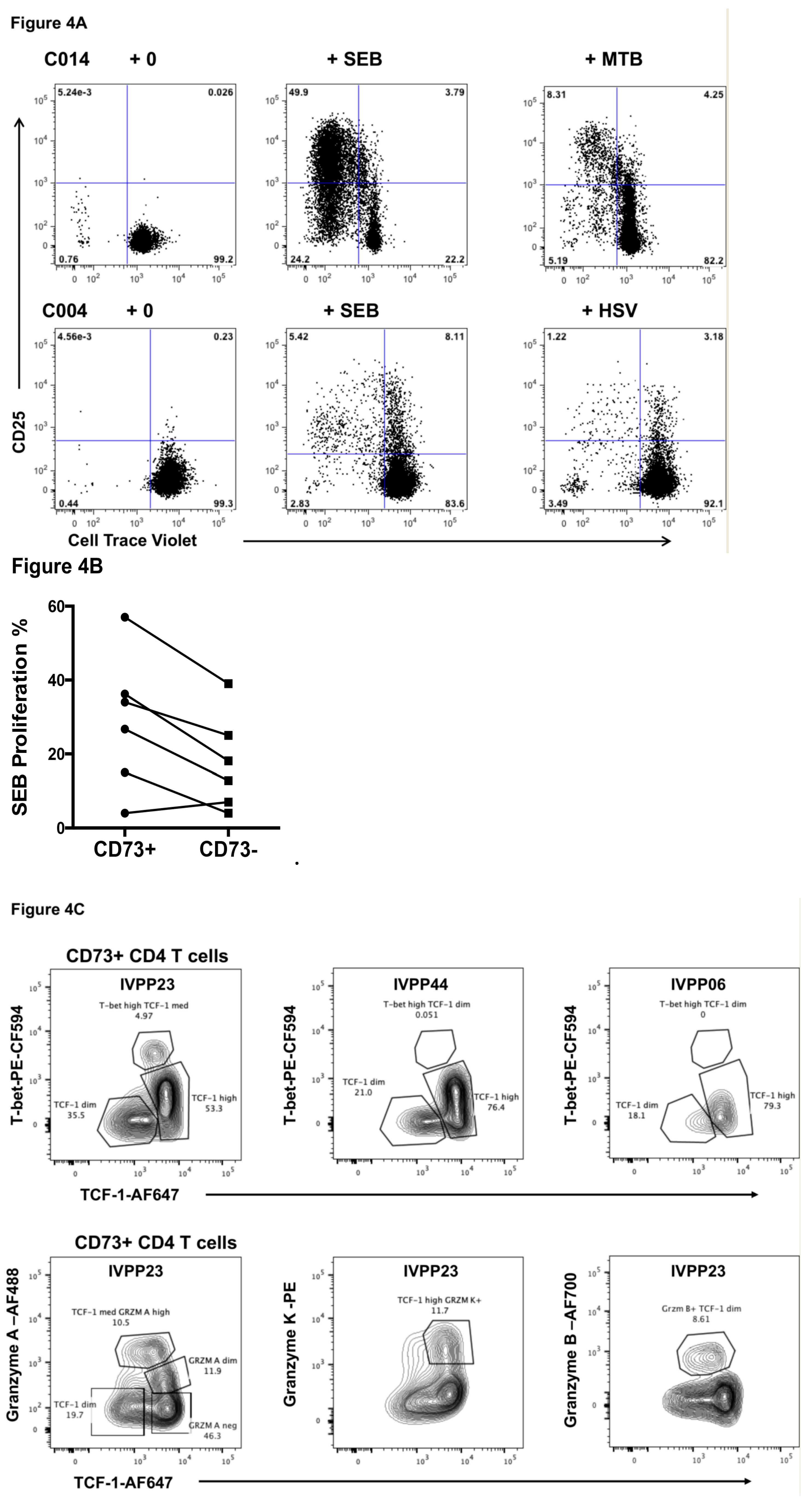 IJMS  Free Full-Text  CD73+ CD127high Long-Term Memory CD4 T 