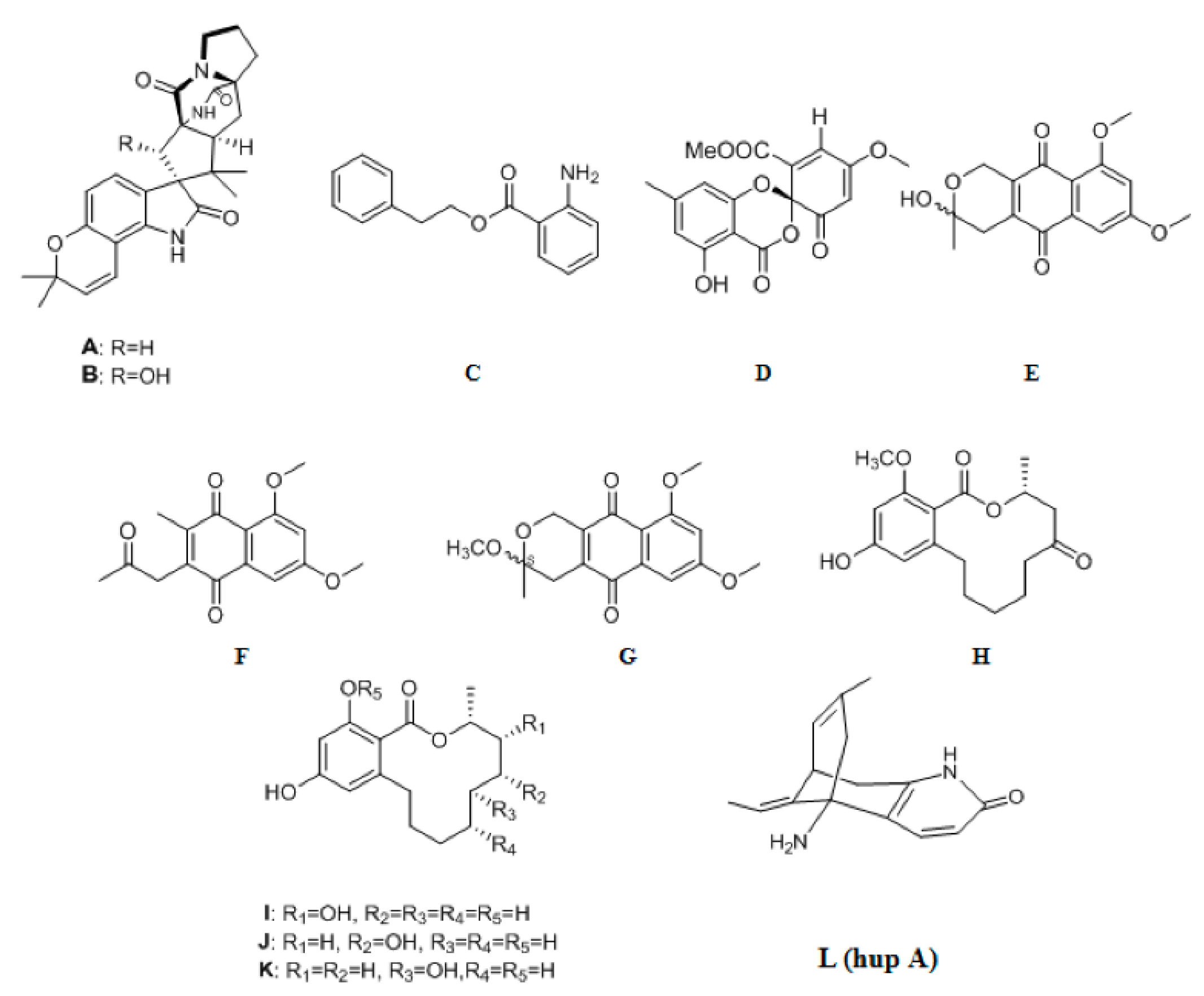 Ijms Free Full Text Biological Activities Of Some New Secondary Metabolites Isolated From Endophytic Fungi A Review Study Html