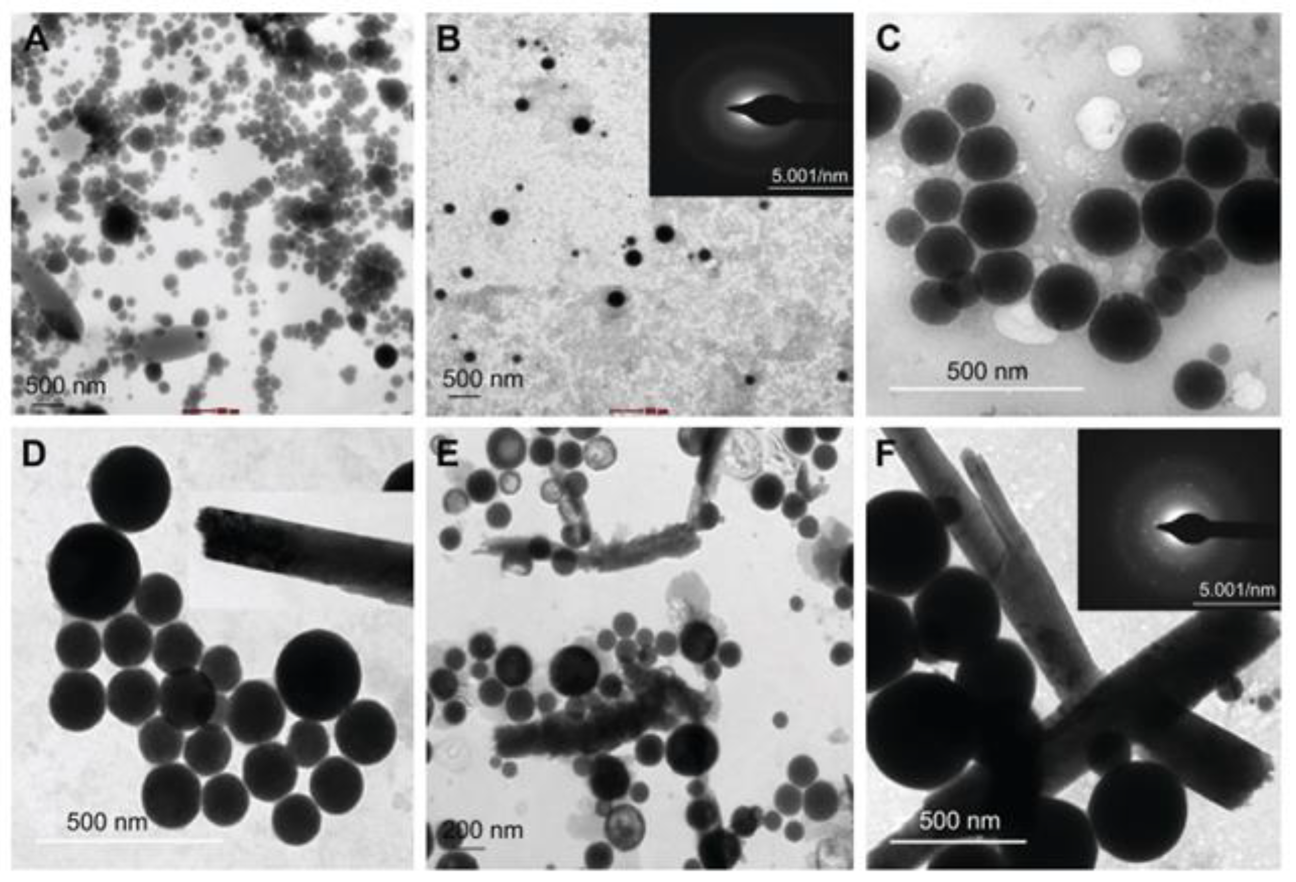 Ijms 22 00989 g002 Ijms 22 00989 g002