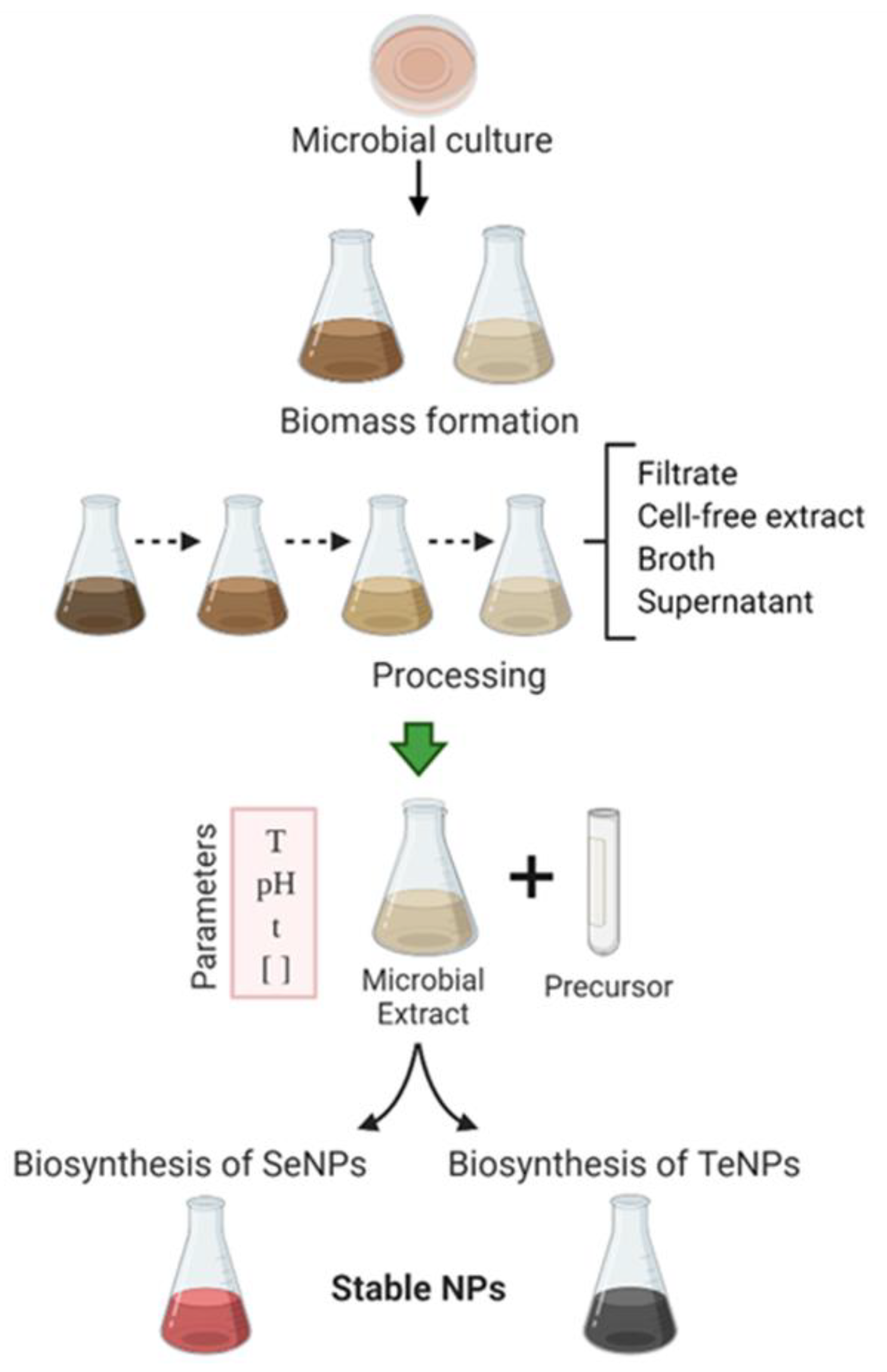 Ijms 22 00989 g003 Ijms 22 00989 g003