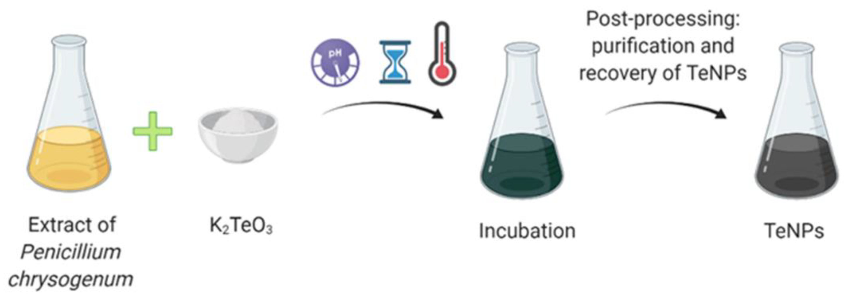 Ijms 22 00989 g004 Ijms 22 00989 g004