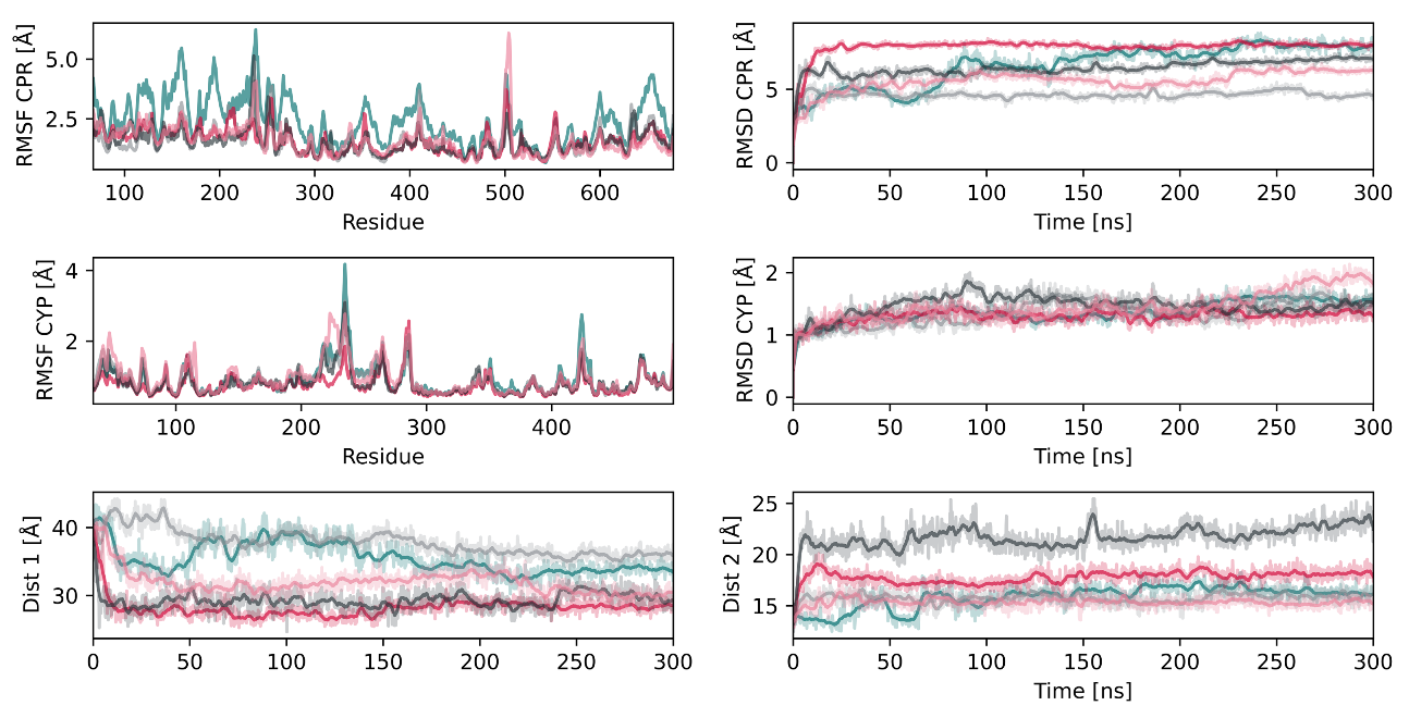 Ijms 22 01023 g003 Ijms 22 01023 g003