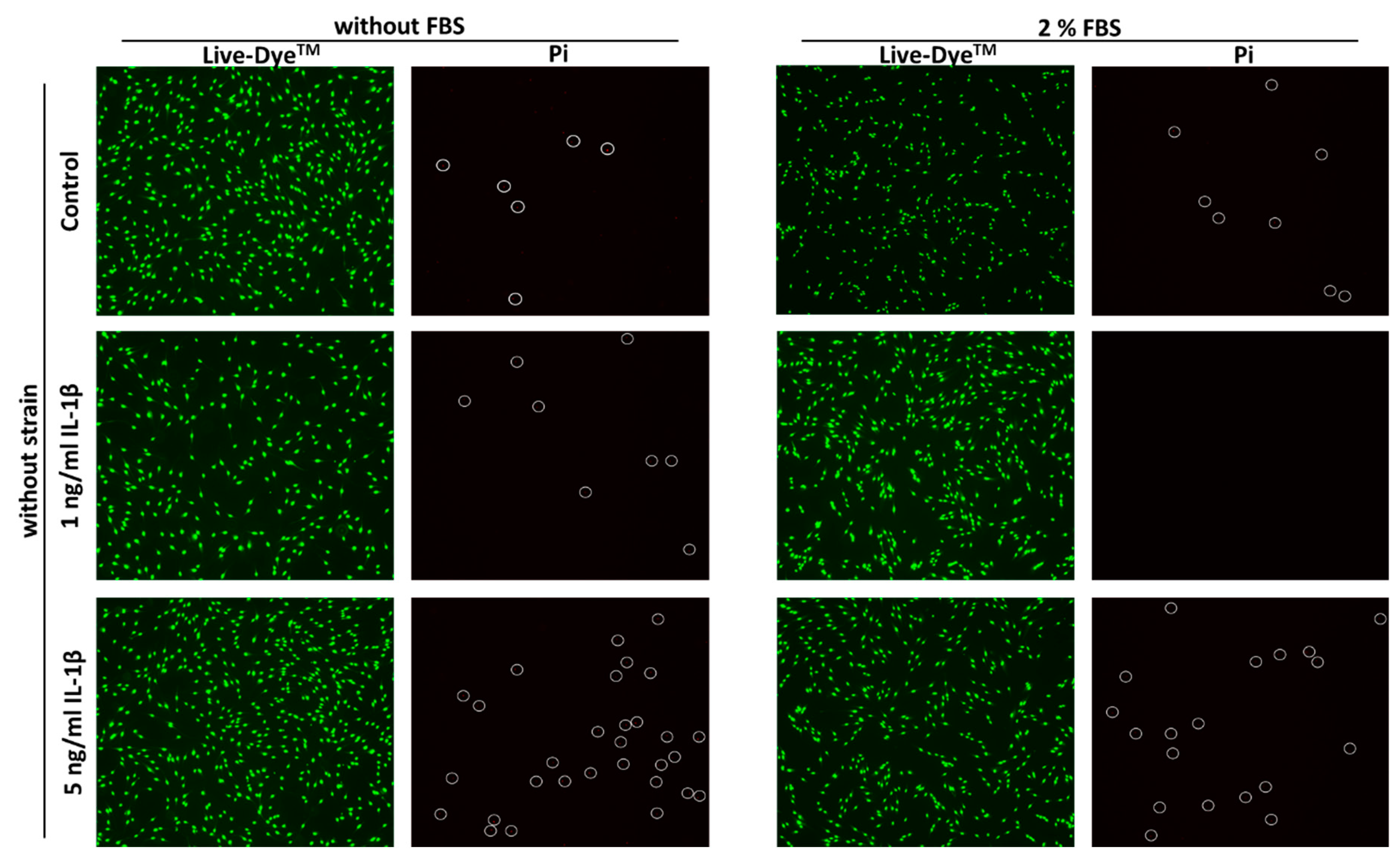Ijms 22 01027 g001a Ijms 22 01027 g001a