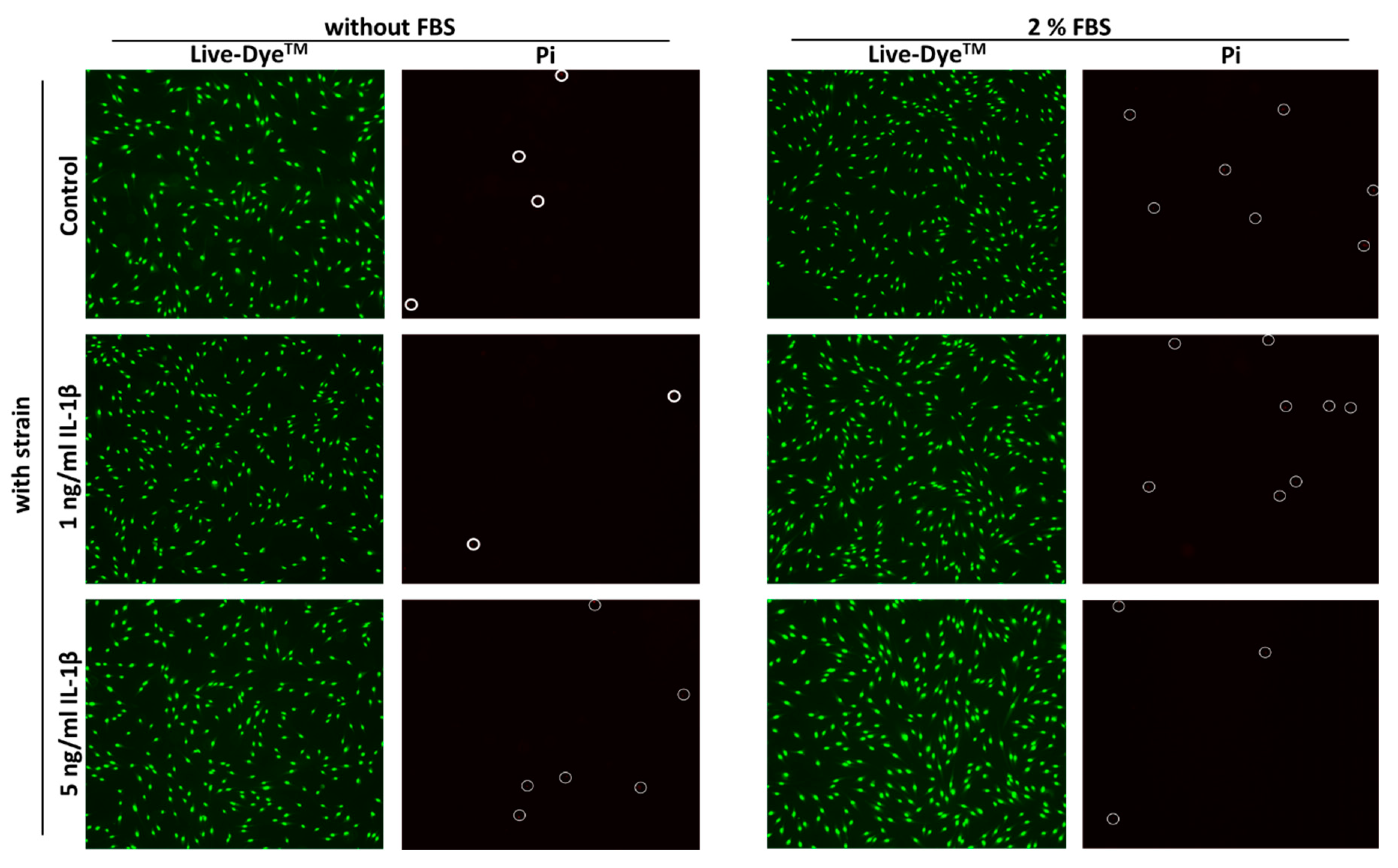 Ijms 22 01027 g001b Ijms 22 01027 g001b