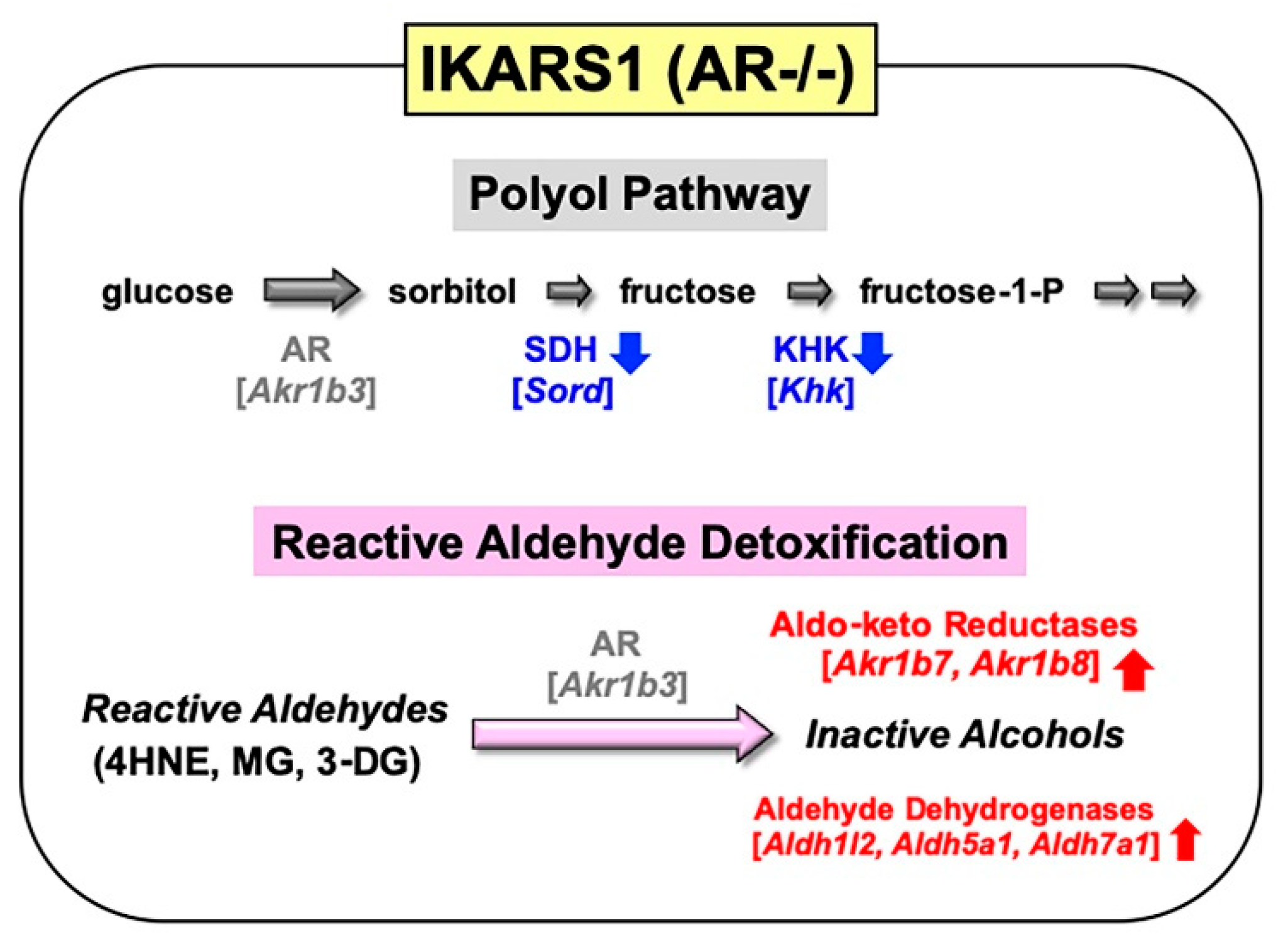 sorbitol pathway