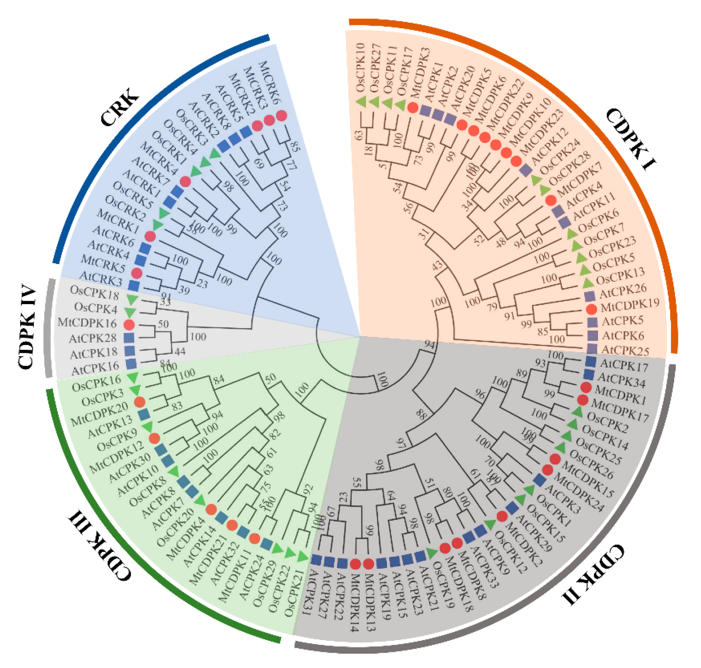 Ijms 22 01044 g001 Ijms 22 01044 g001