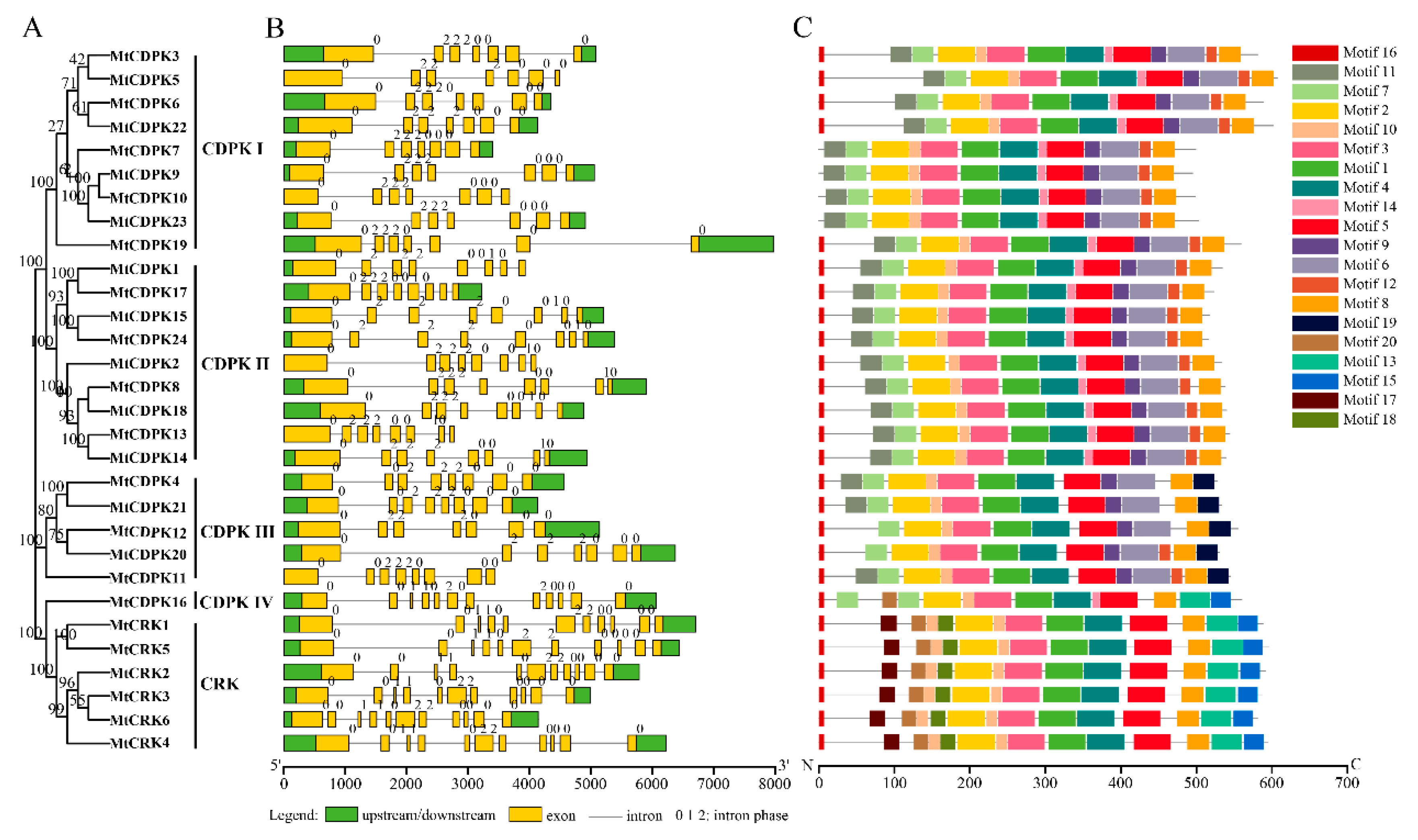 Ijms 22 01044 g003 Ijms 22 01044 g003