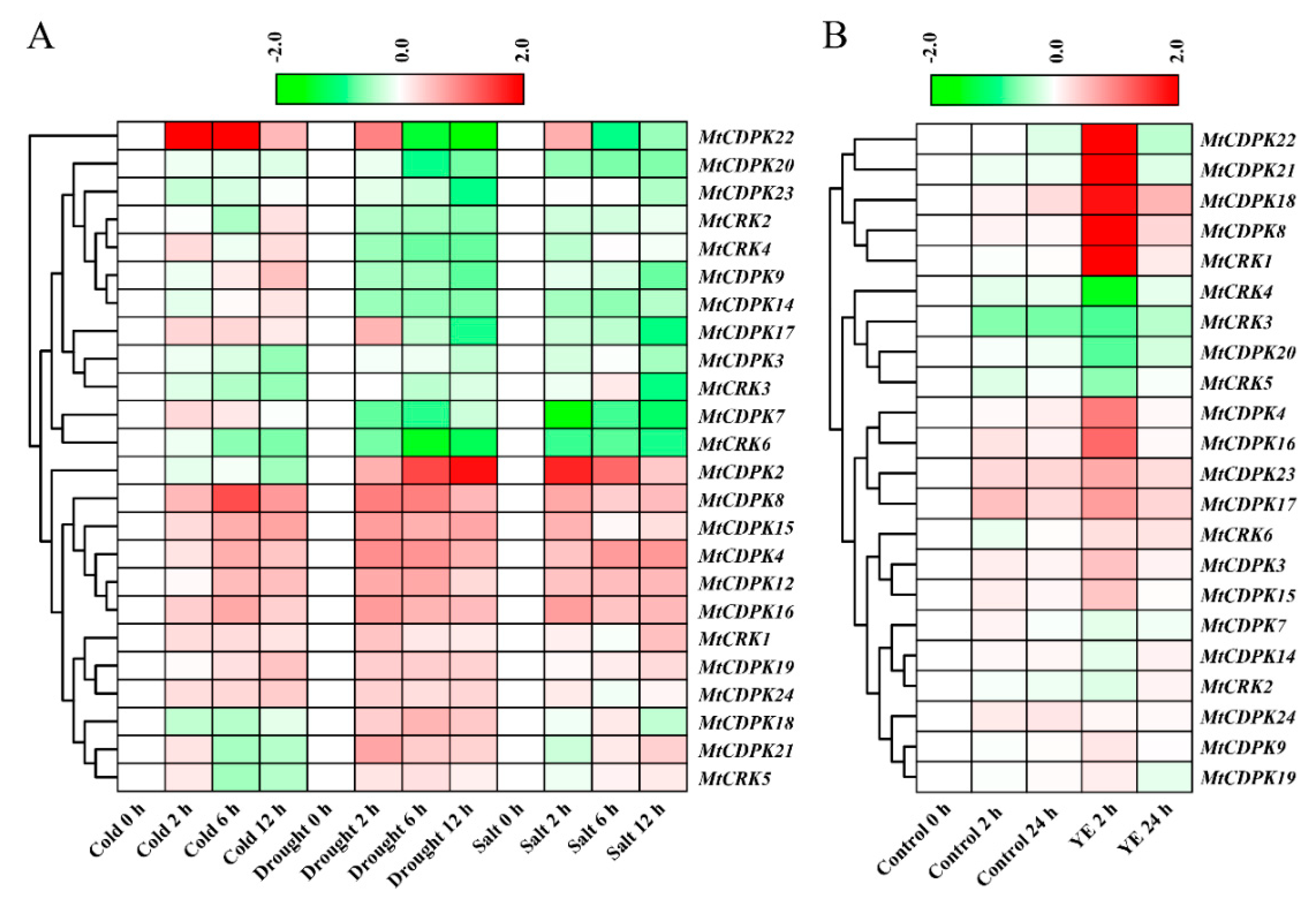Ijms 22 01044 g006 Ijms 22 01044 g006