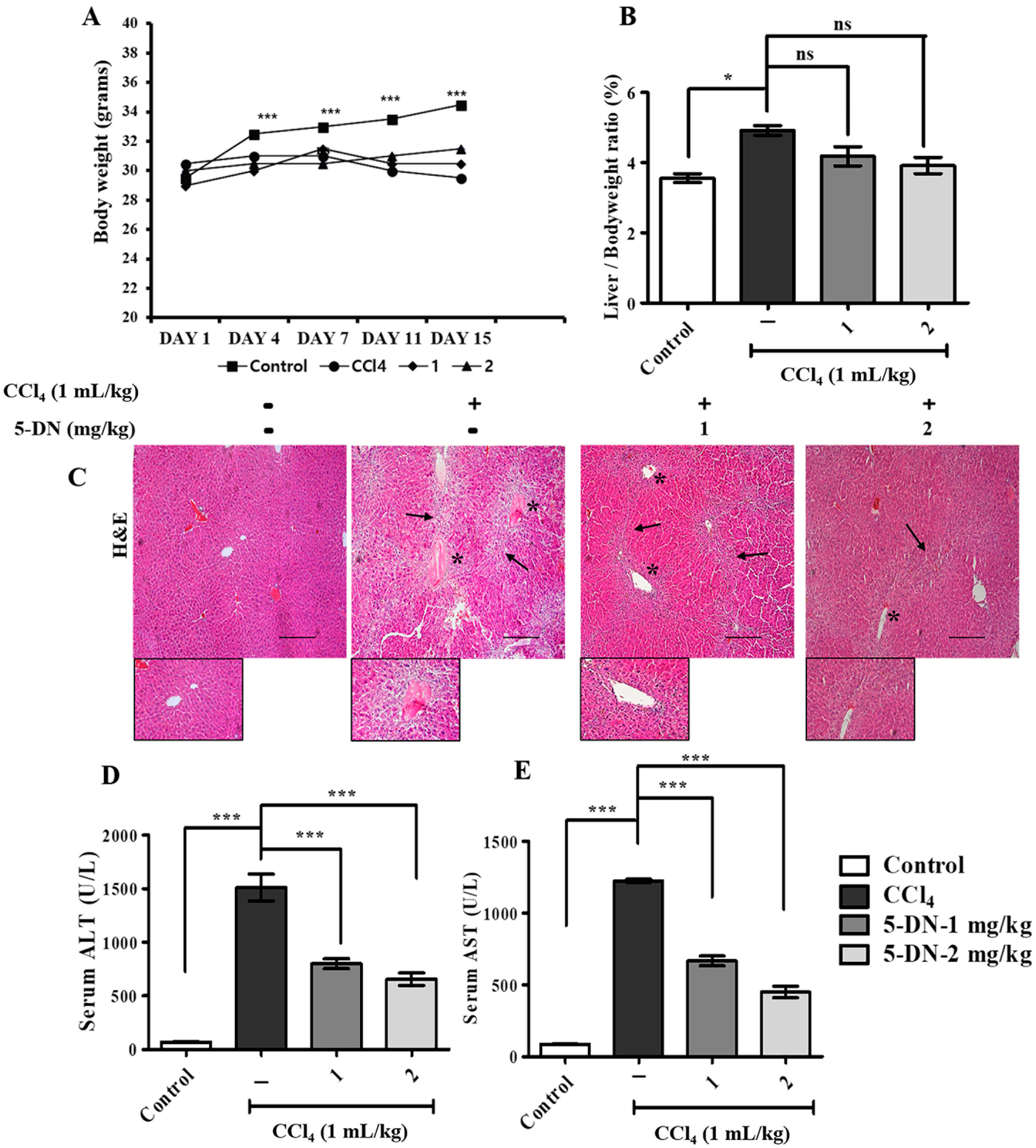 Ijms 22 01083 g002 Ijms 22 01083 g002
