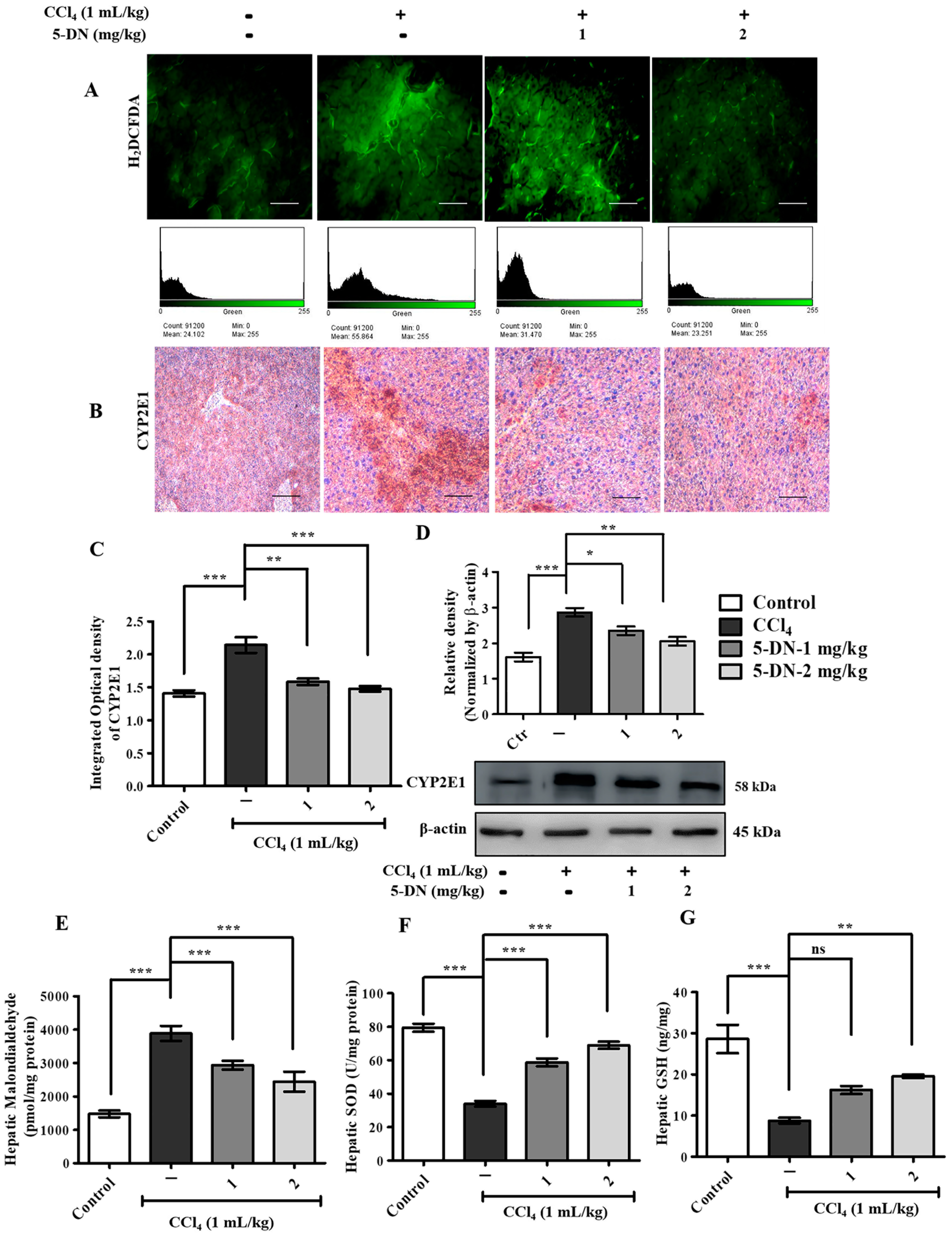 Ijms 22 01083 g005 Ijms 22 01083 g005