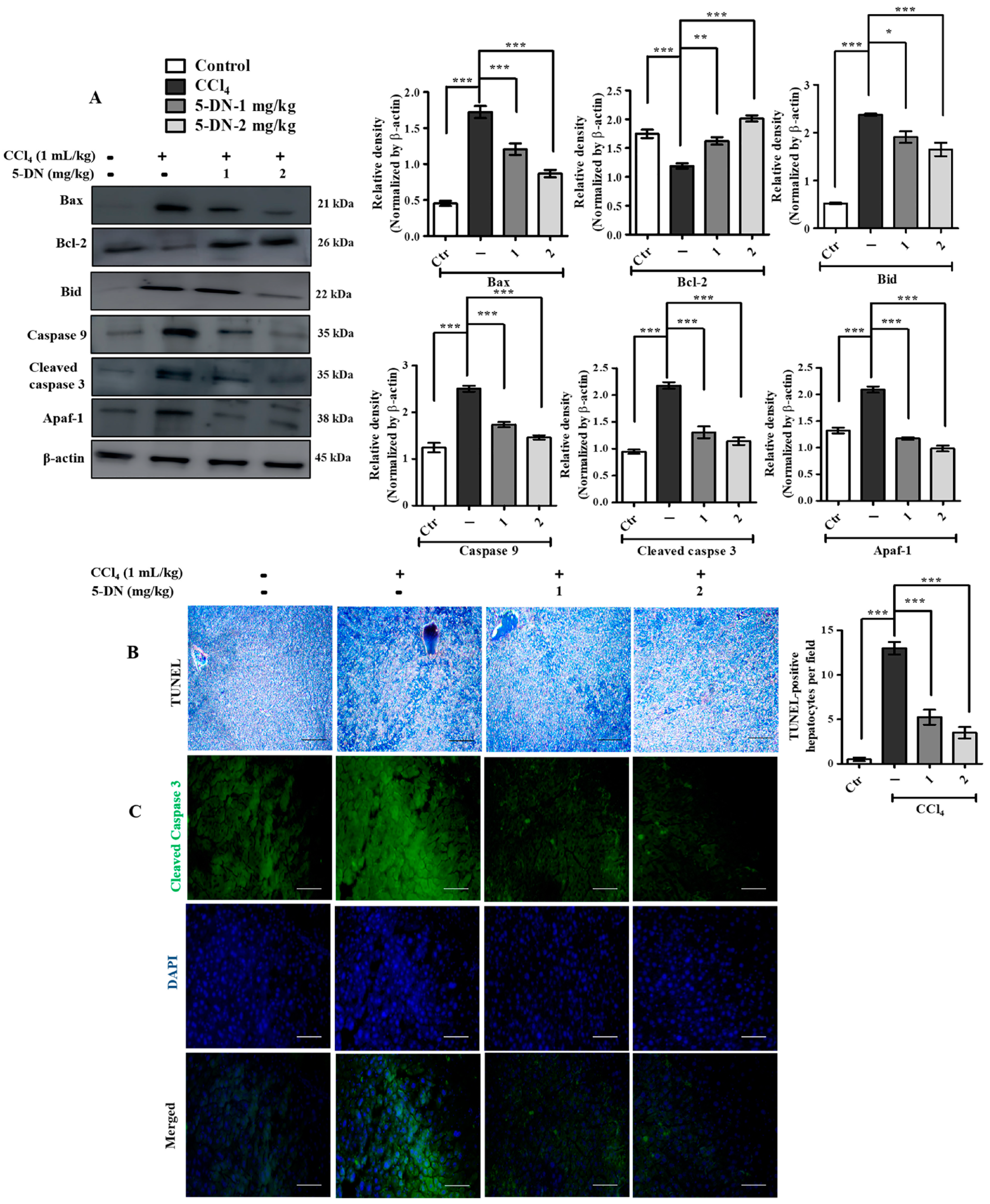Ijms 22 01083 g006 Ijms 22 01083 g006