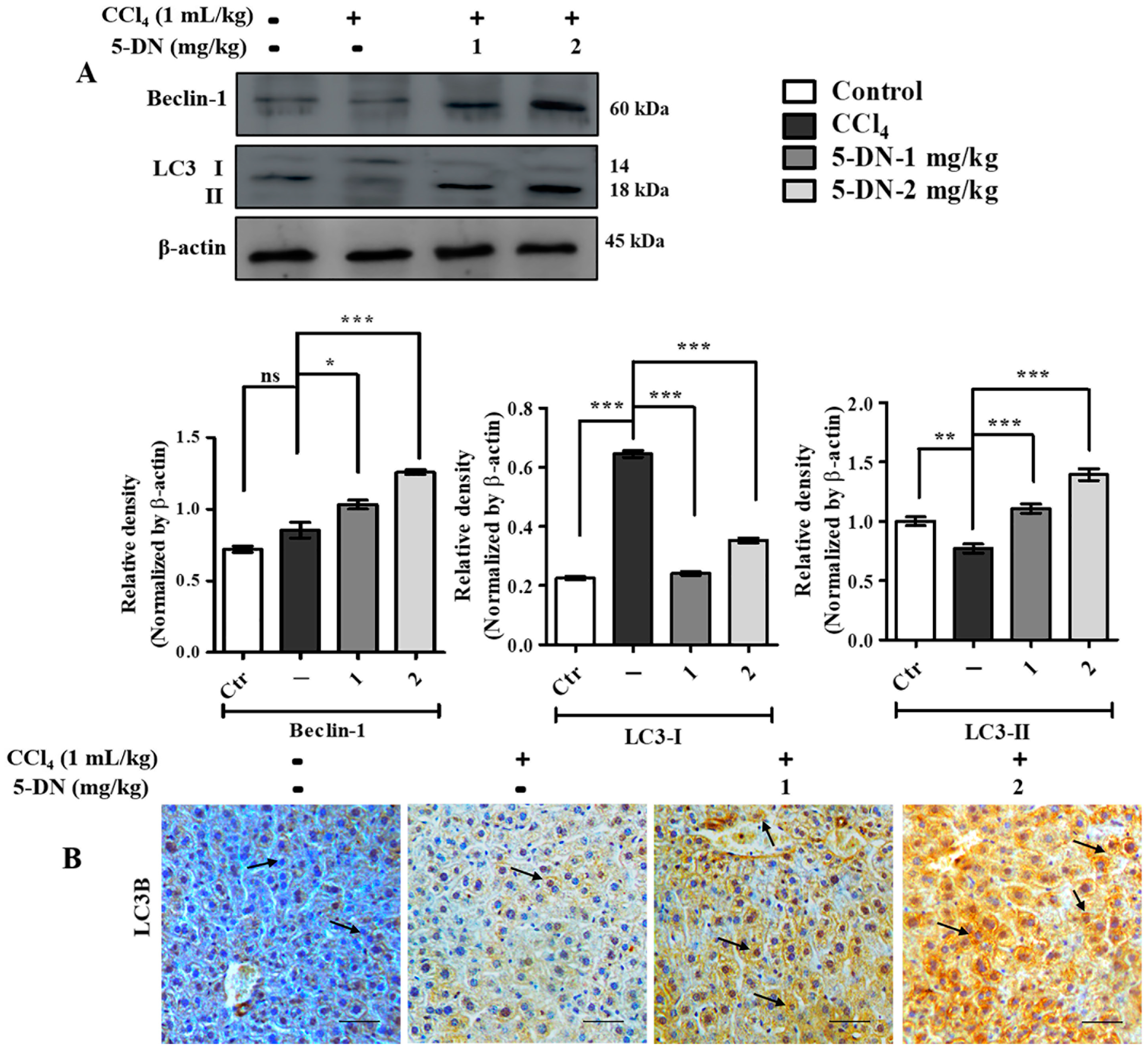 Ijms 22 01083 g007 Ijms 22 01083 g007