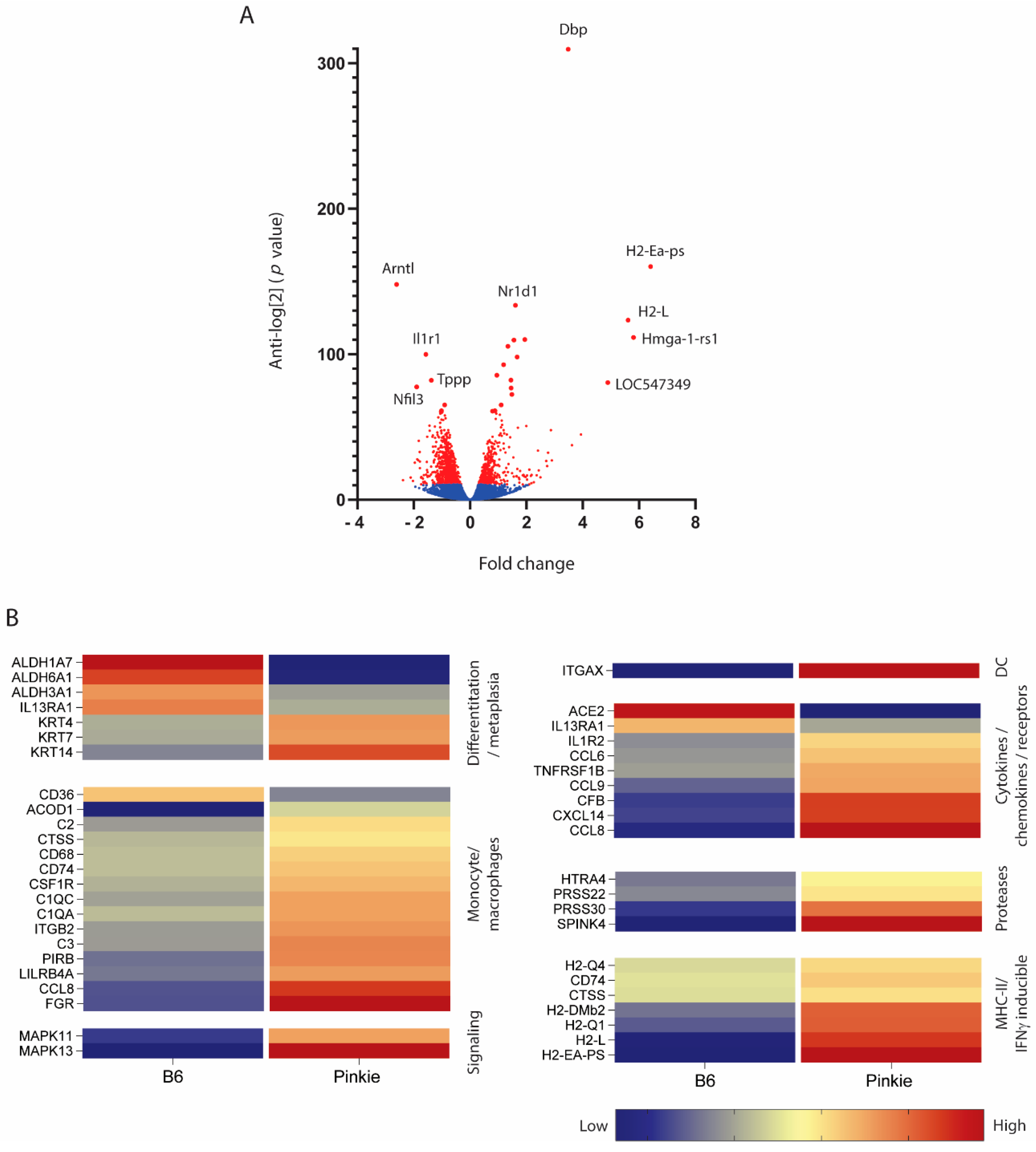 Ijms 22 01092 g005 Ijms 22 01092 g005