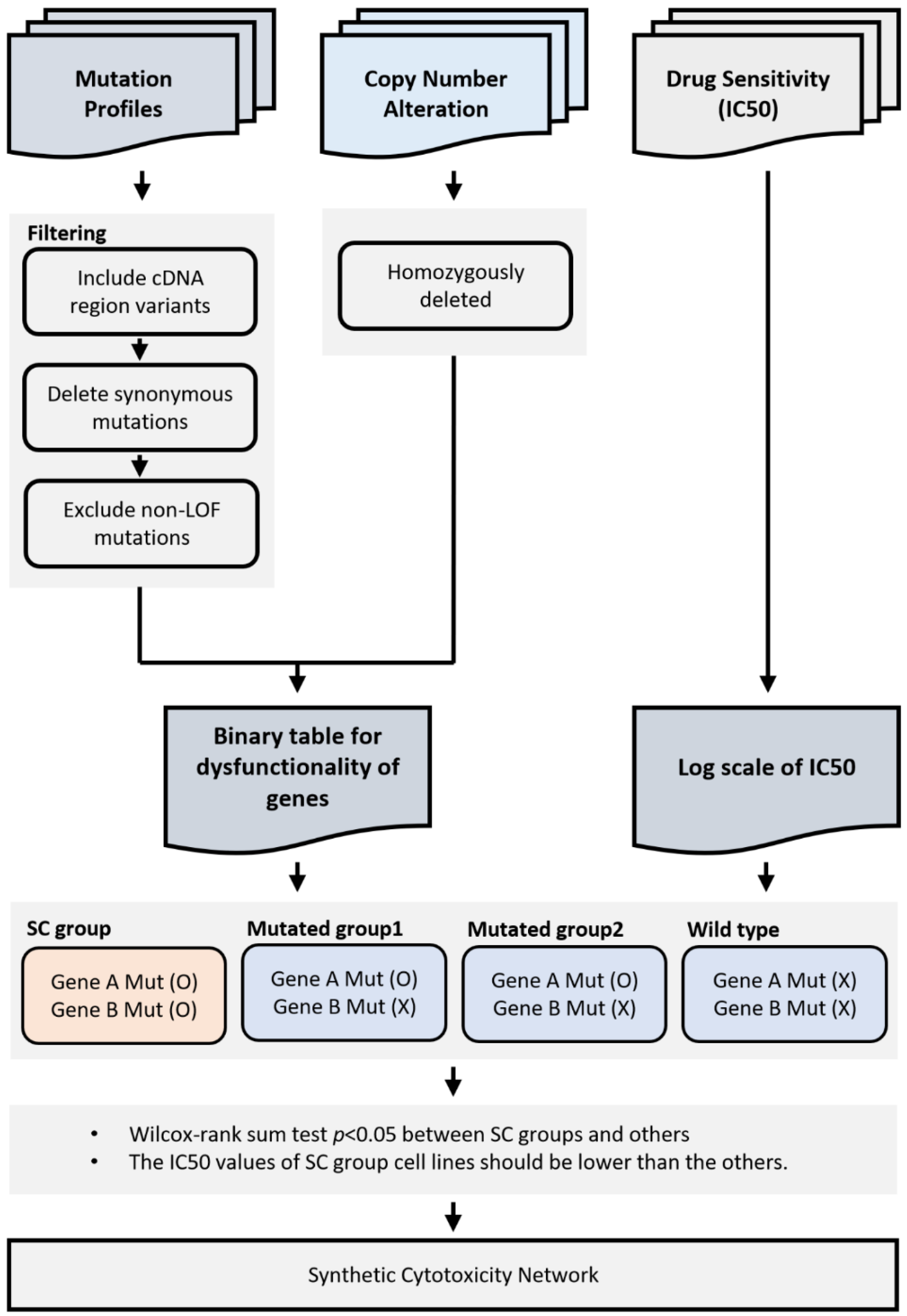 Ijms 22 01097 g001 Ijms 22 01097 g001
