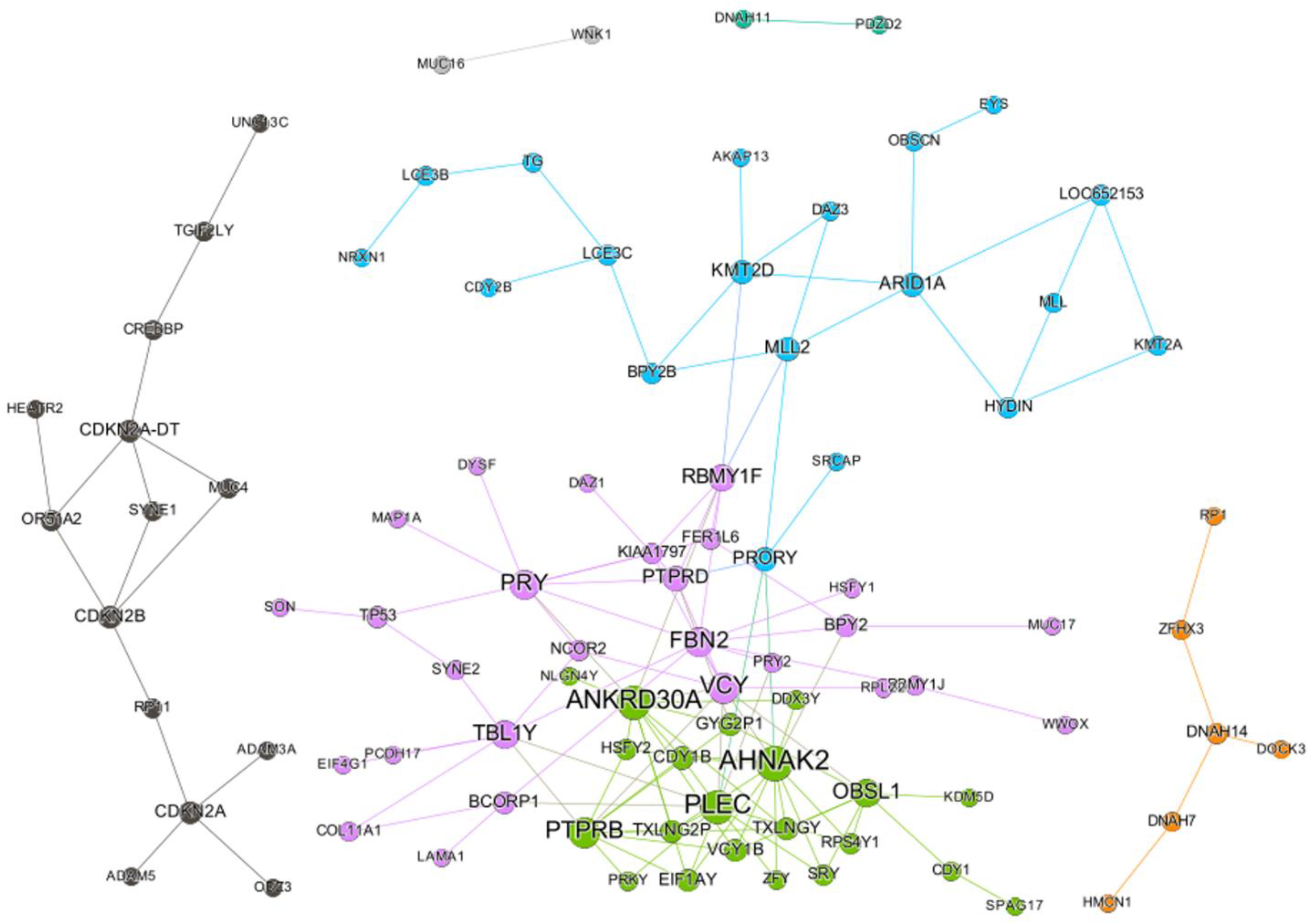Ijms 22 01097 g002 Ijms 22 01097 g002