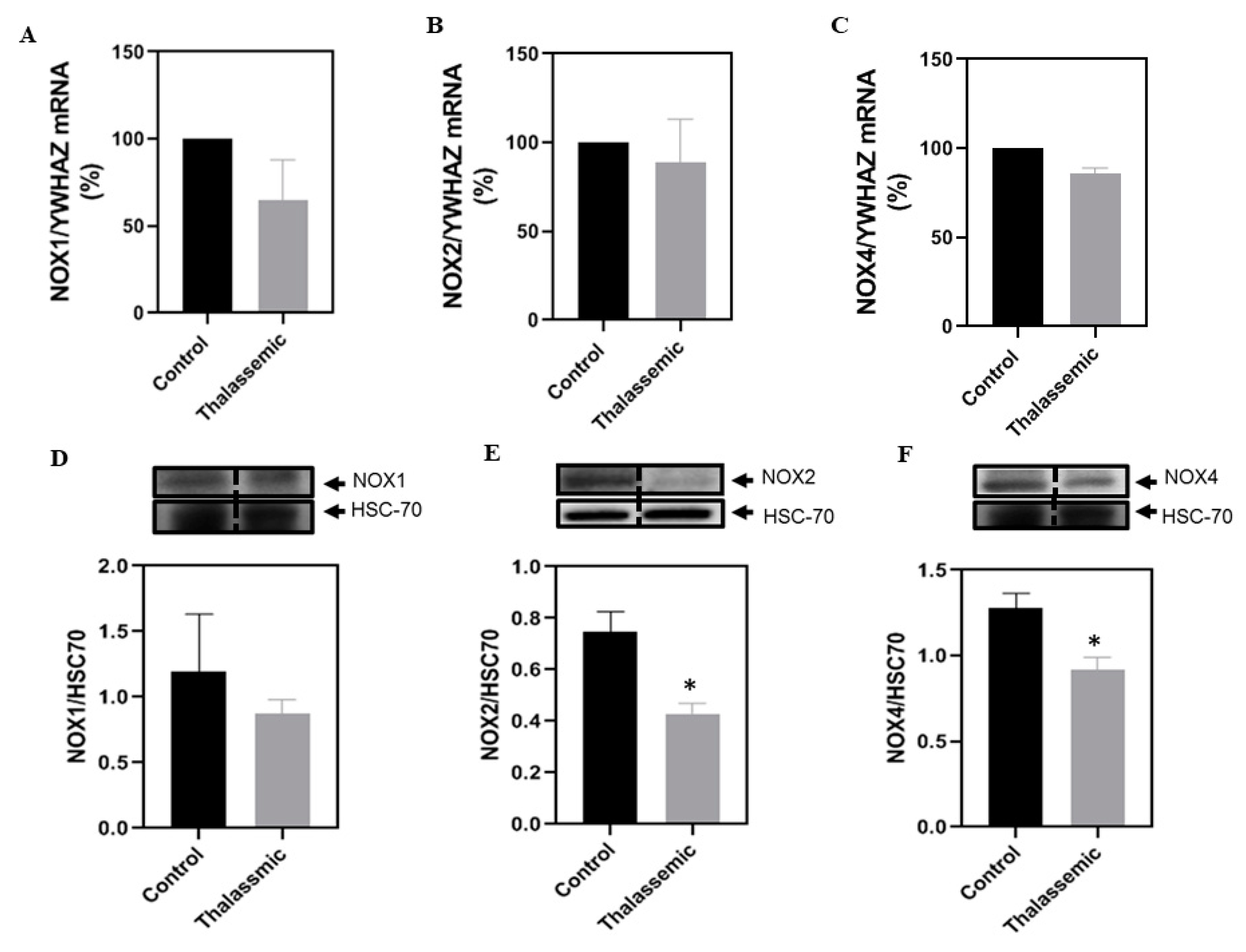 Ijms 22 01106 g003 Ijms 22 01106 g003