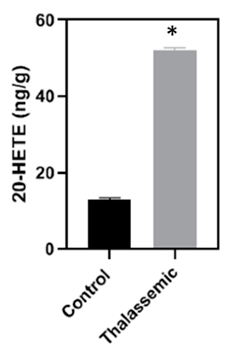 Ijms 22 01106 g005 Ijms 22 01106 g005