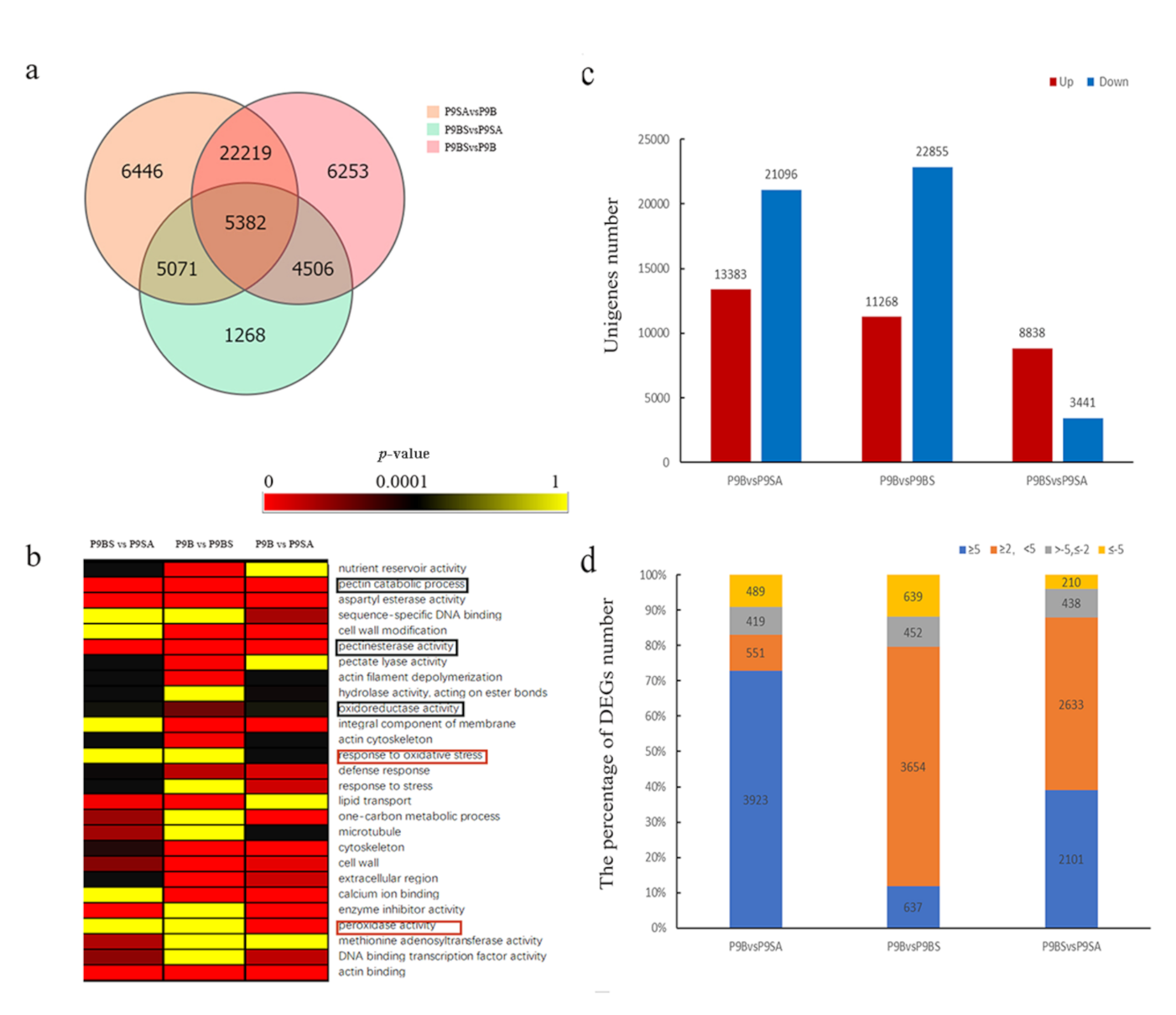 Ijms 22 01107 g006 Ijms 22 01107 g006
