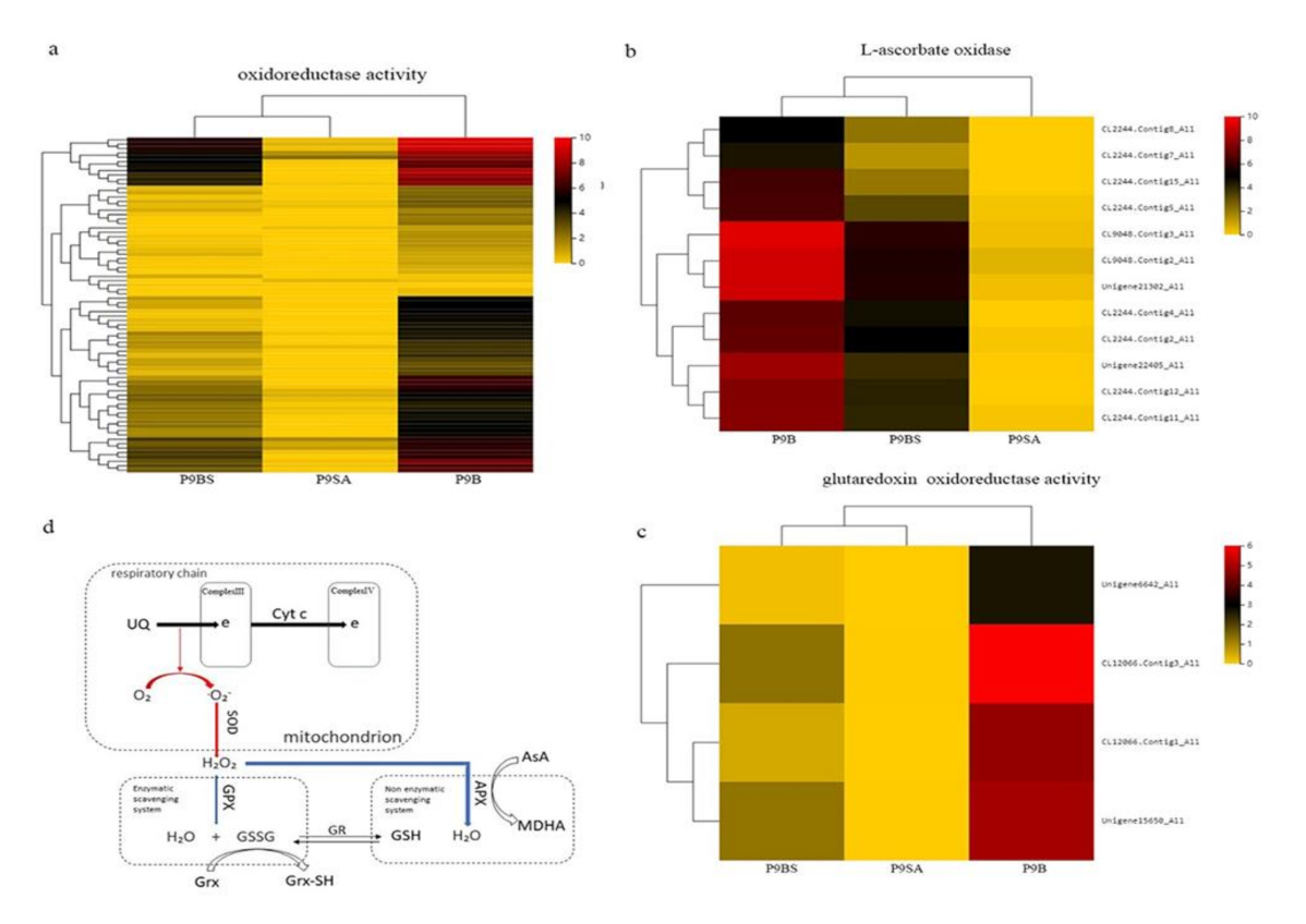 Ijms 22 01107 g007 Ijms 22 01107 g007