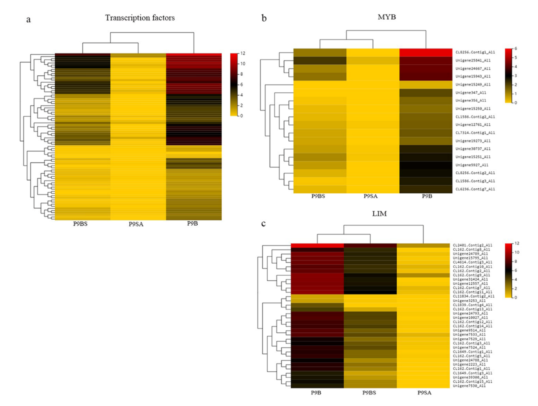 Ijms 22 01107 g009 Ijms 22 01107 g009