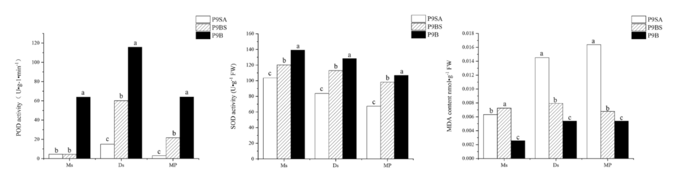 Ijms 22 01107 g011 Ijms 22 01107 g011