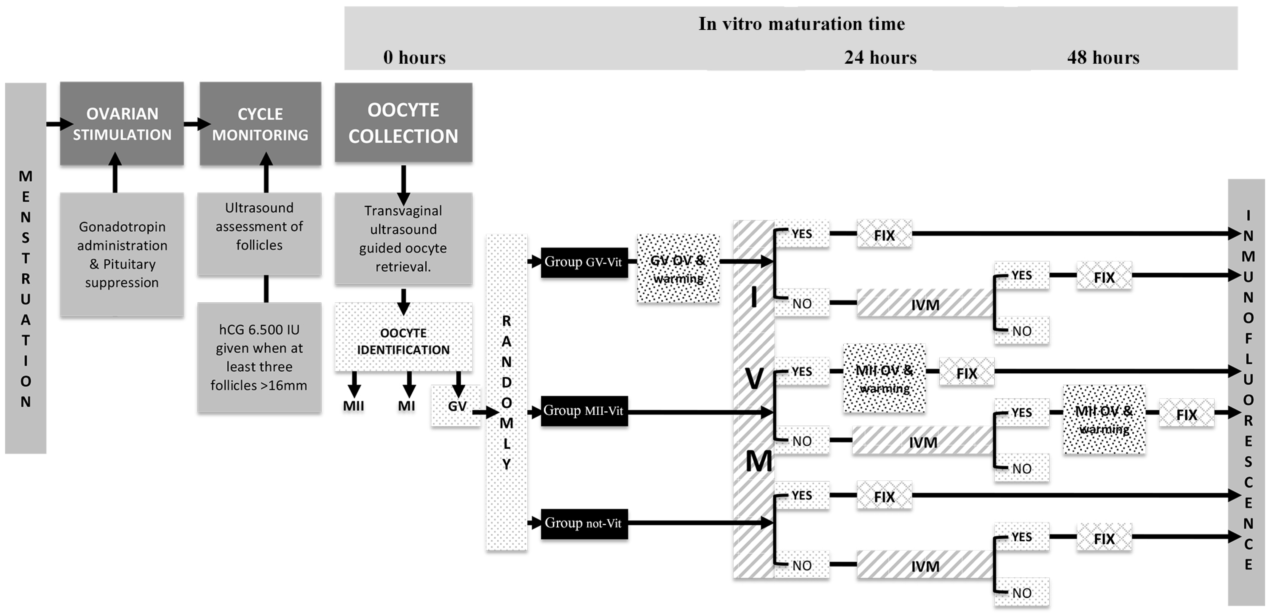 https://www.mdpi.com/ijms/ijms-22-01125/article_deploy/html/images/ijms-22-01125-g001.png