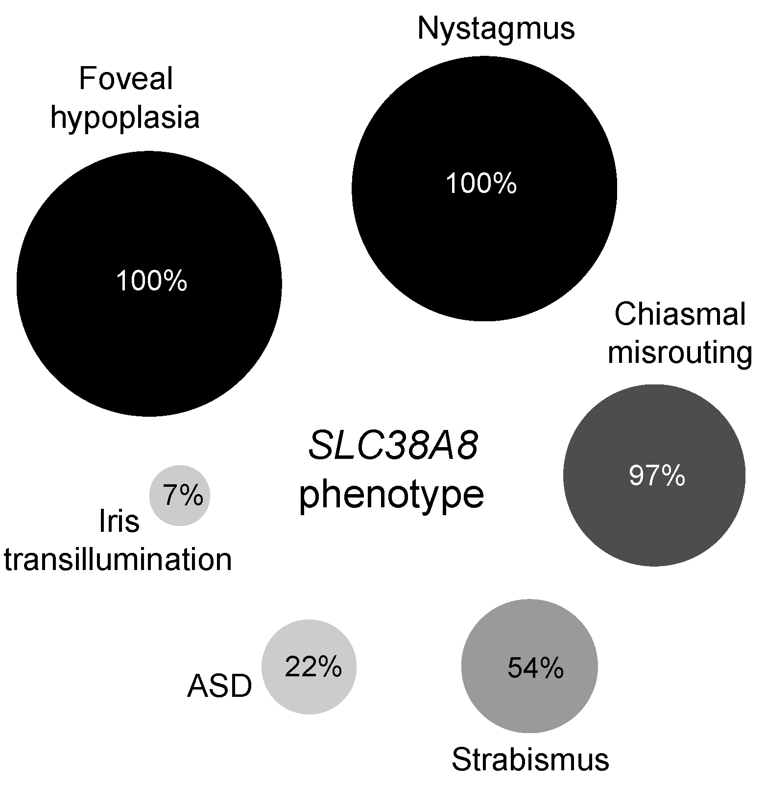 Ijms 22 01130 g003 Ijms 22 01130 g003