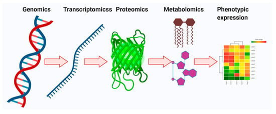 Ijms Free Full Text Recent Advances Of Microbiome Associated Metabolomics Profiling In Liver Disease Principles Mechanisms And Applications Html