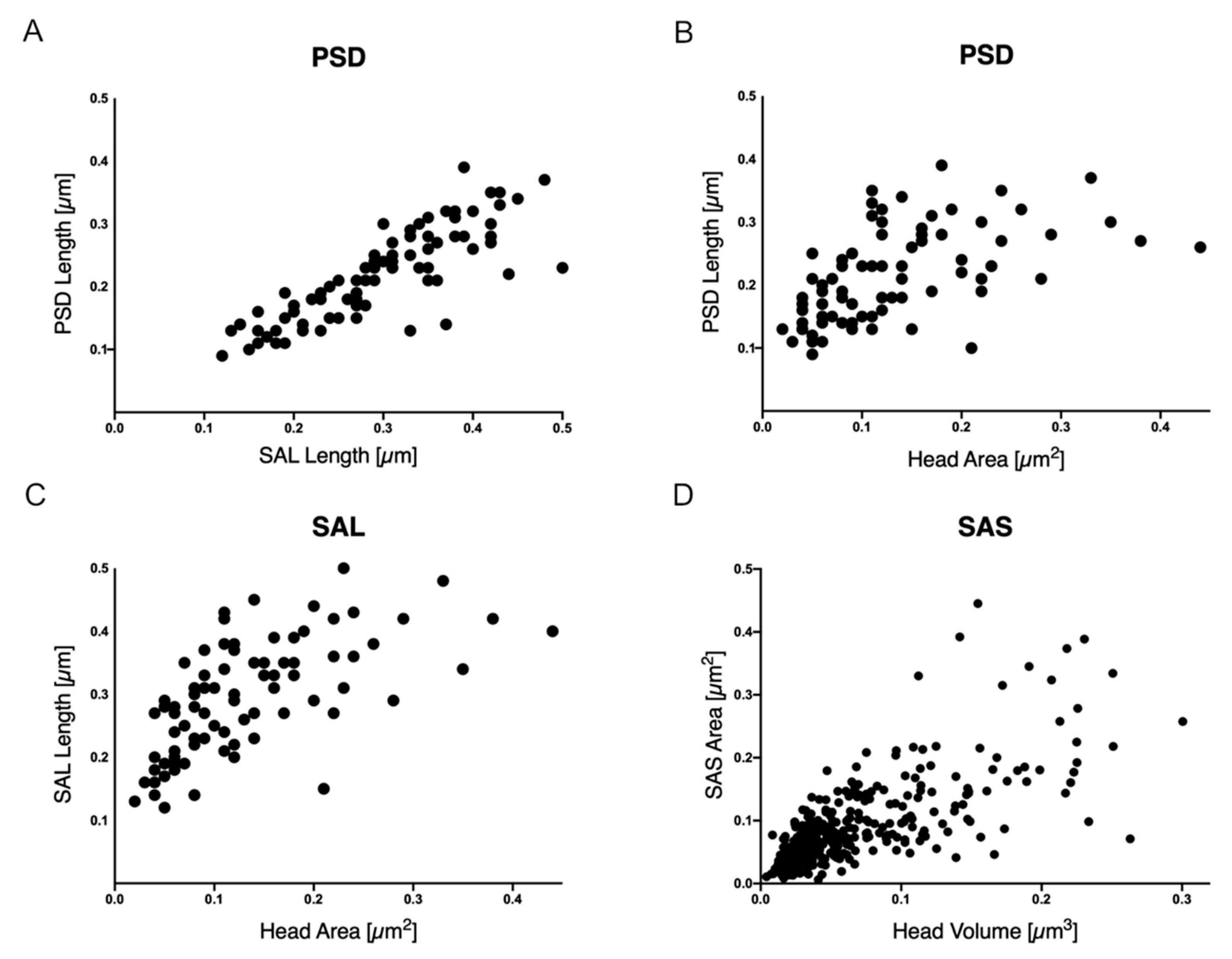 Ijms 22 01188 g004 Ijms 22 01188 g004