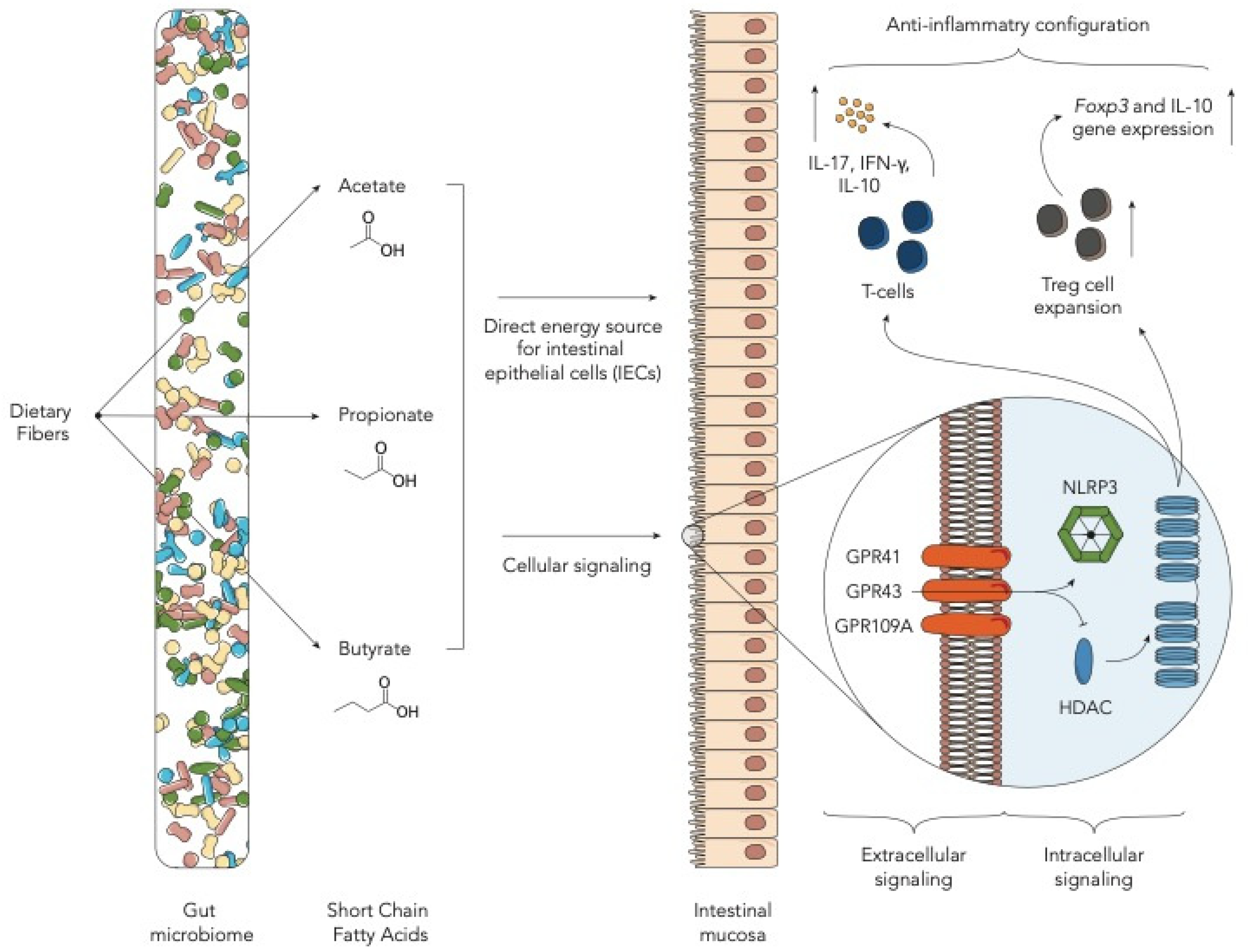 Ijms 22 01197 g001 Ijms 22 01197 g001