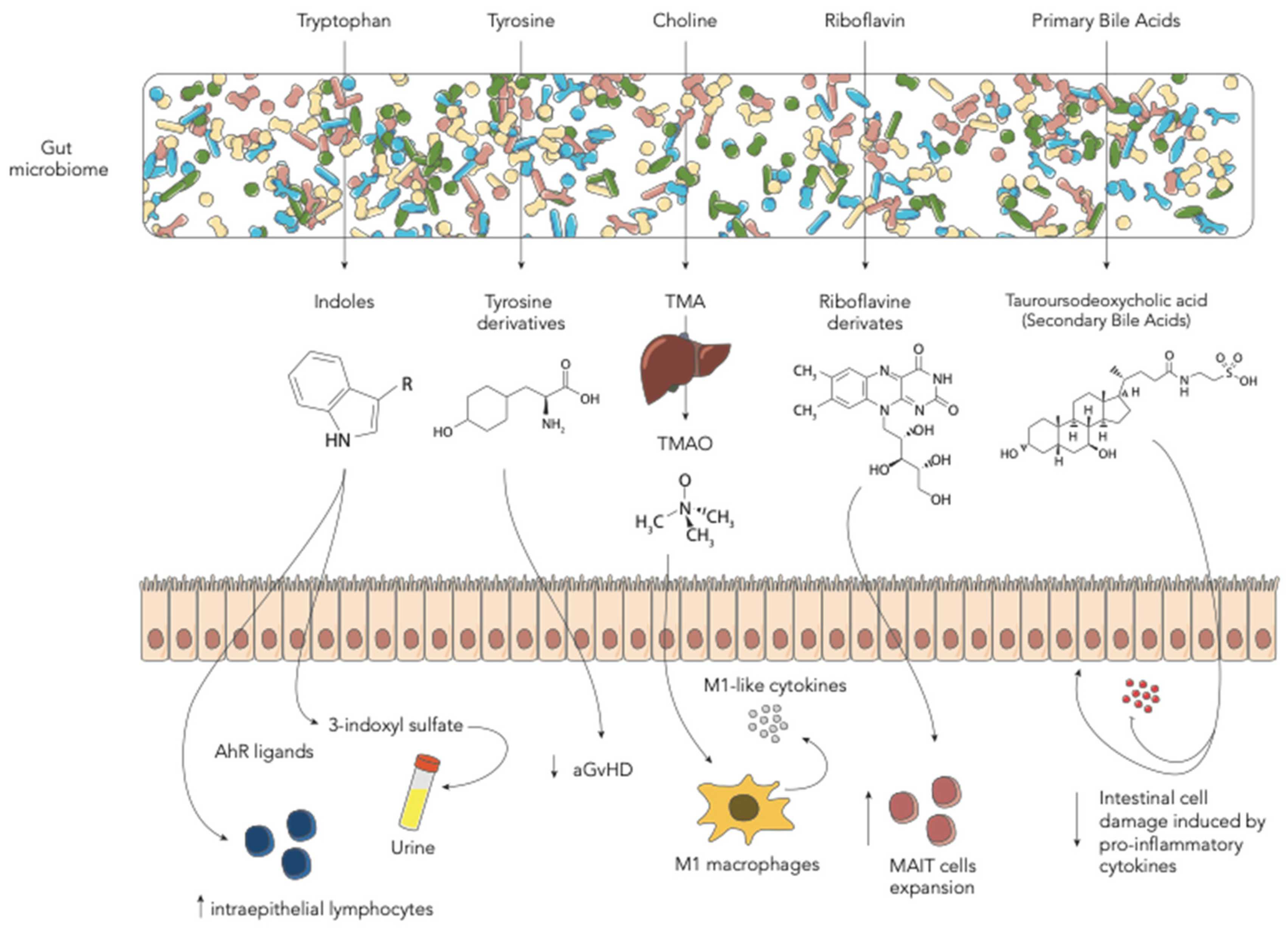 Ijms 22 01197 g002 Ijms 22 01197 g002