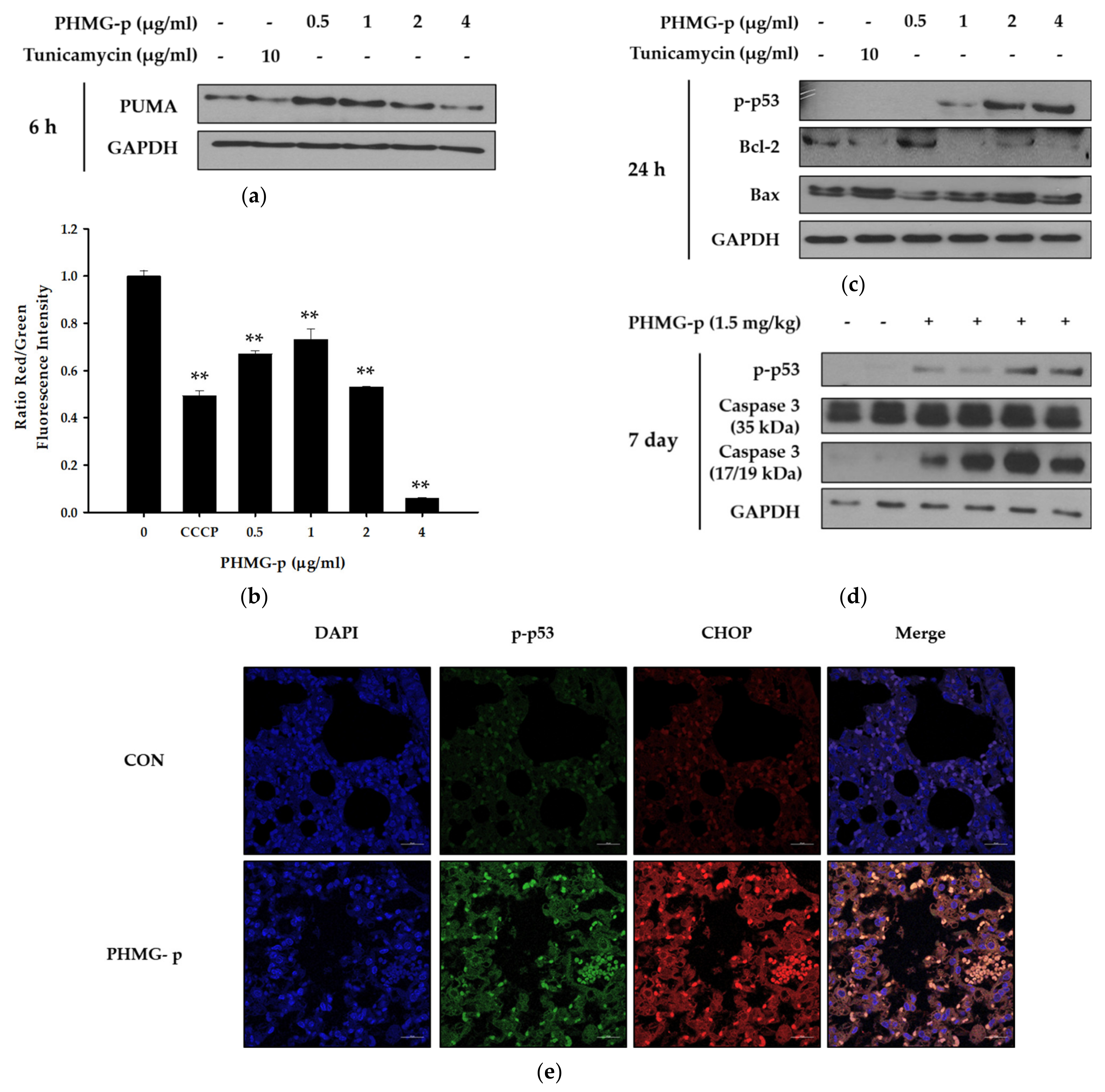 Ijms 22 01215 g003 Ijms 22 01215 g003