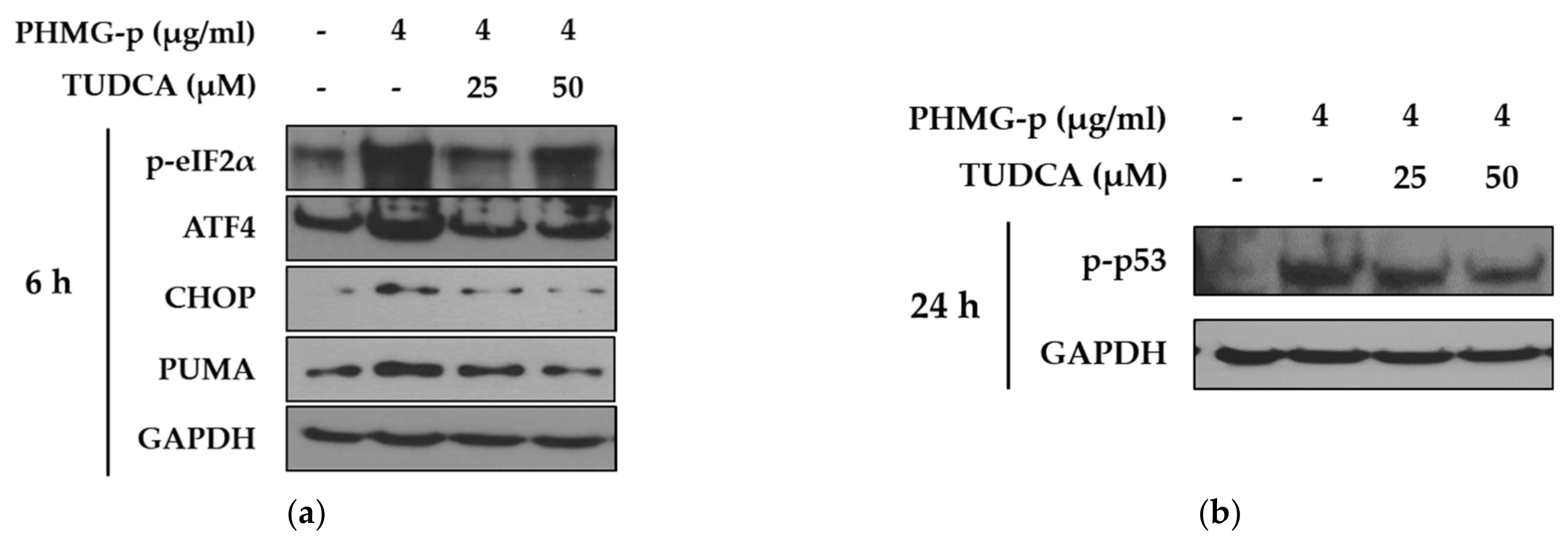 Ijms 22 01215 g004 Ijms 22 01215 g004