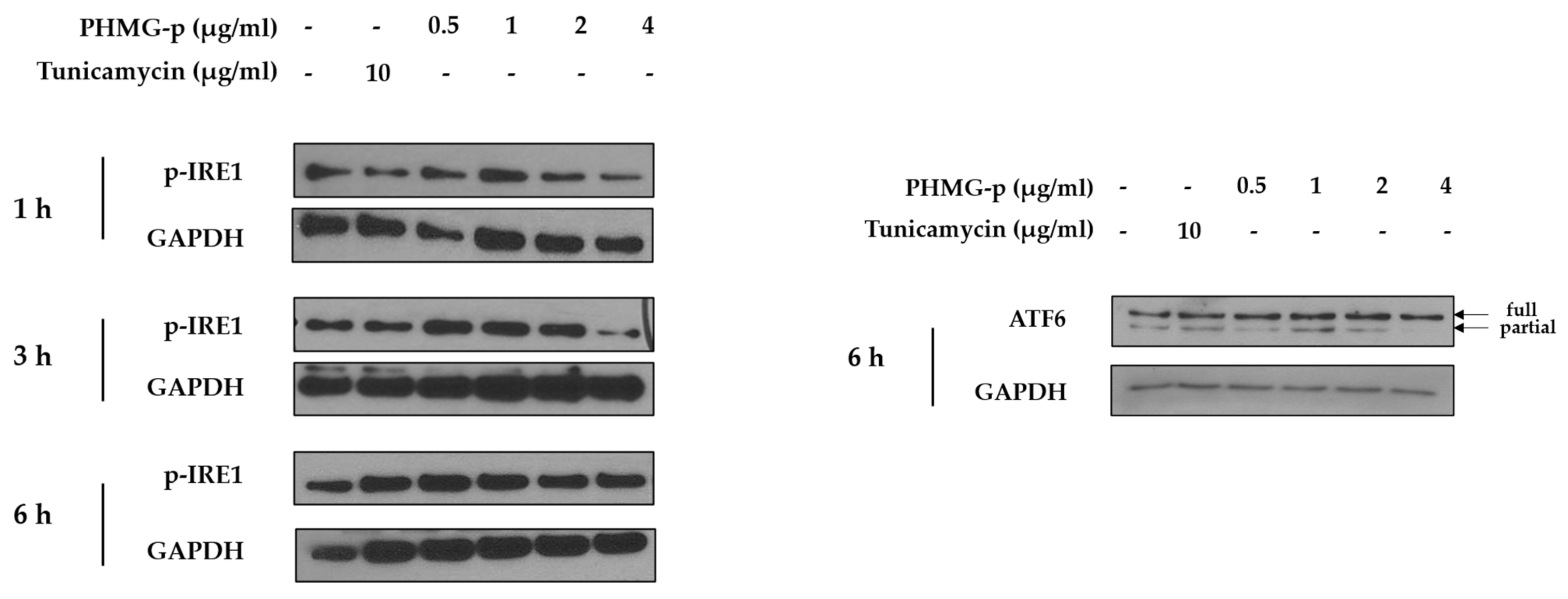 Ijms 22 01215 g0a1 Ijms 22 01215 g0a1