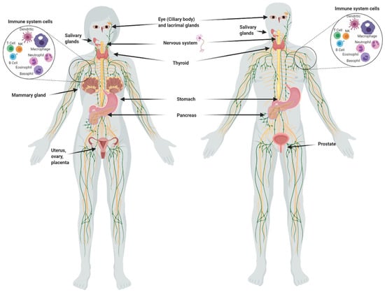 what is iodine good for in the human body