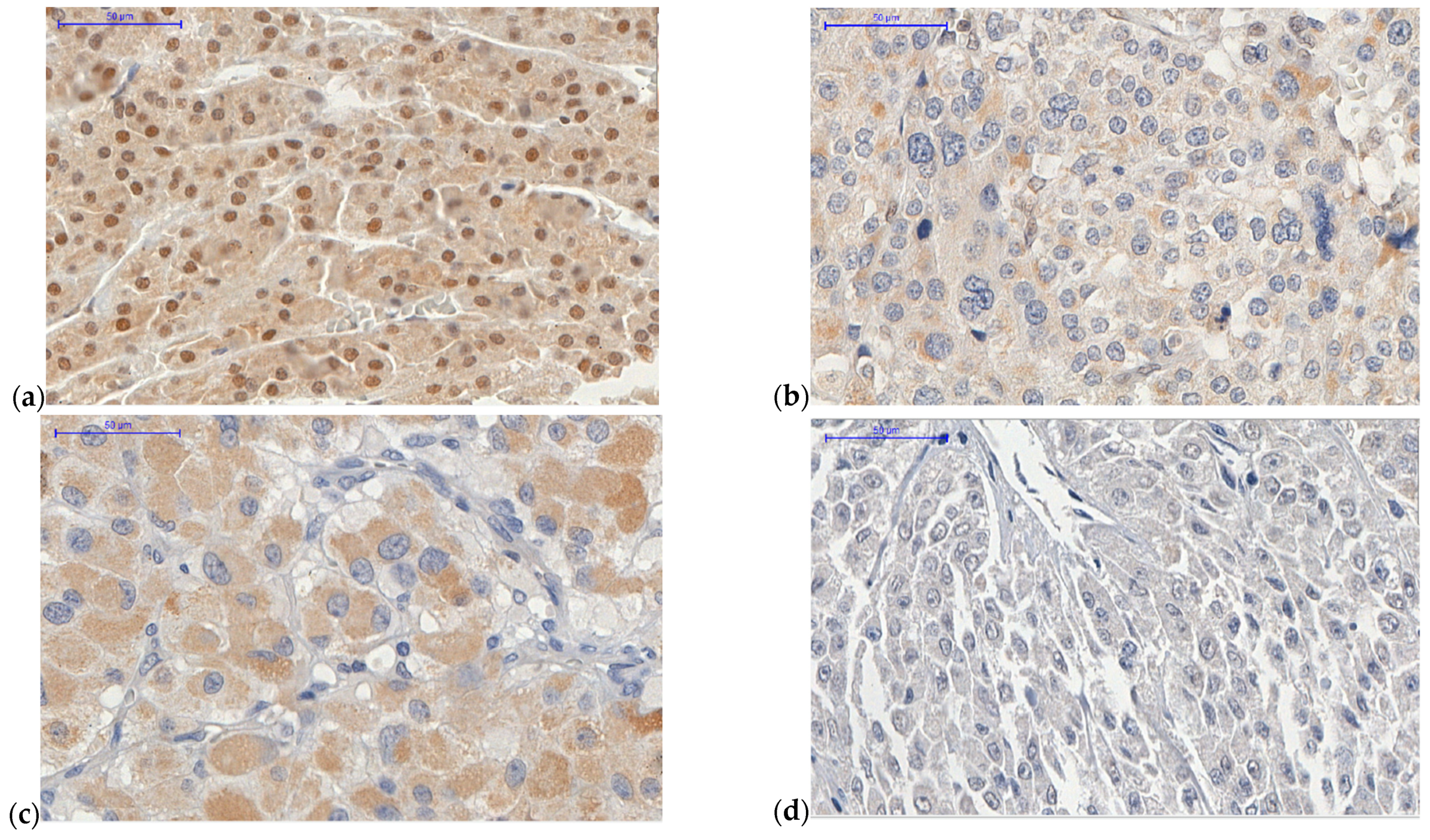 Ijms 22 01238 g001 Ijms 22 01238 g001