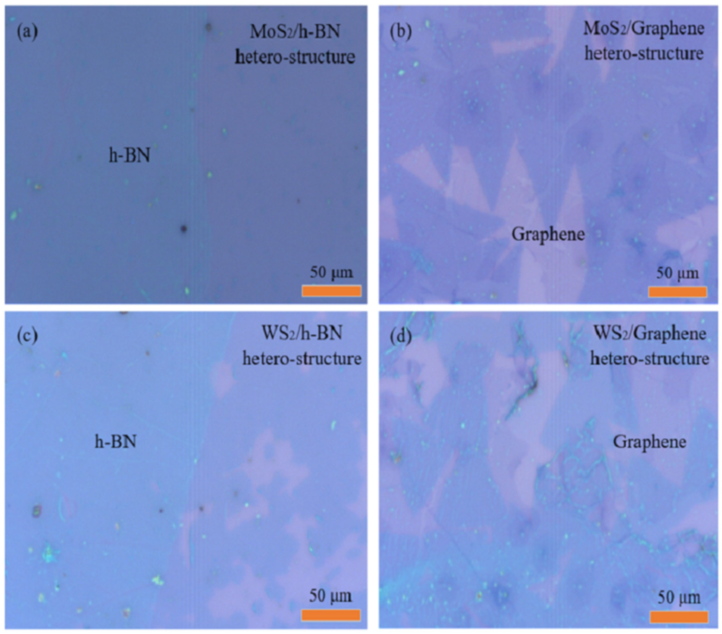 Ijms 22 01246 g001 Ijms 22 01246 g001