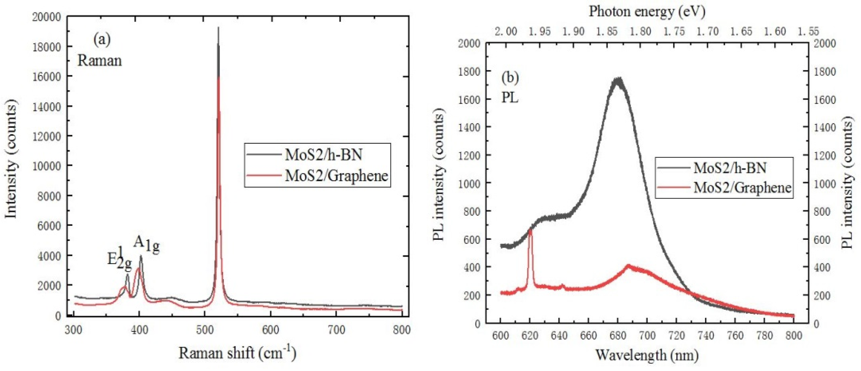 Ijms 22 01246 g007 Ijms 22 01246 g007