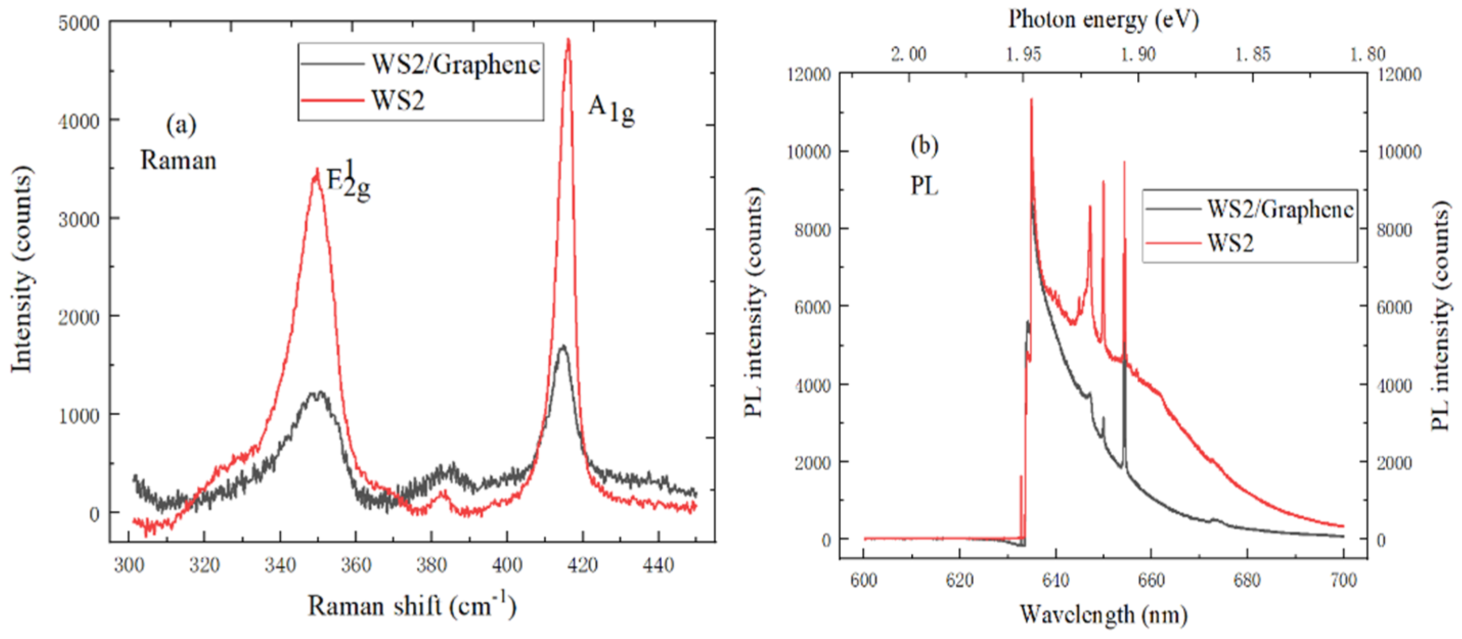 Ijms 22 01246 g009 Ijms 22 01246 g009