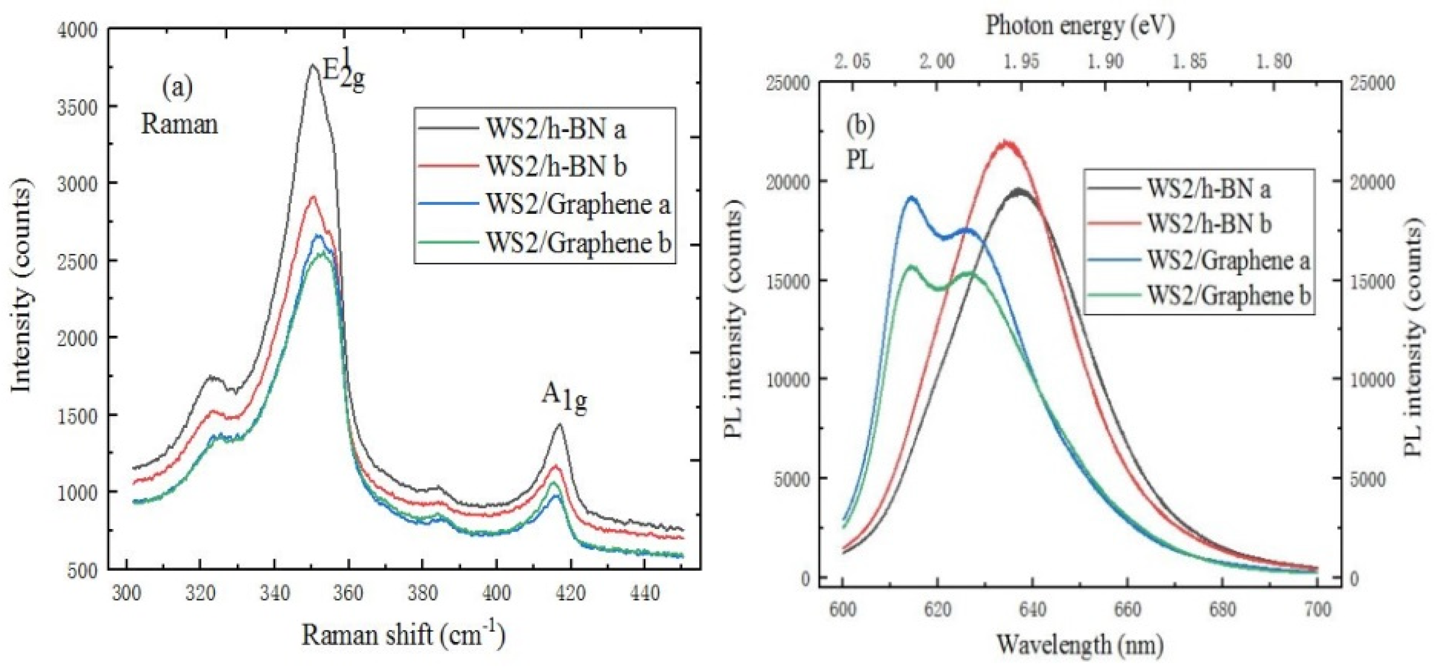 Ijms 22 01246 g011 Ijms 22 01246 g011