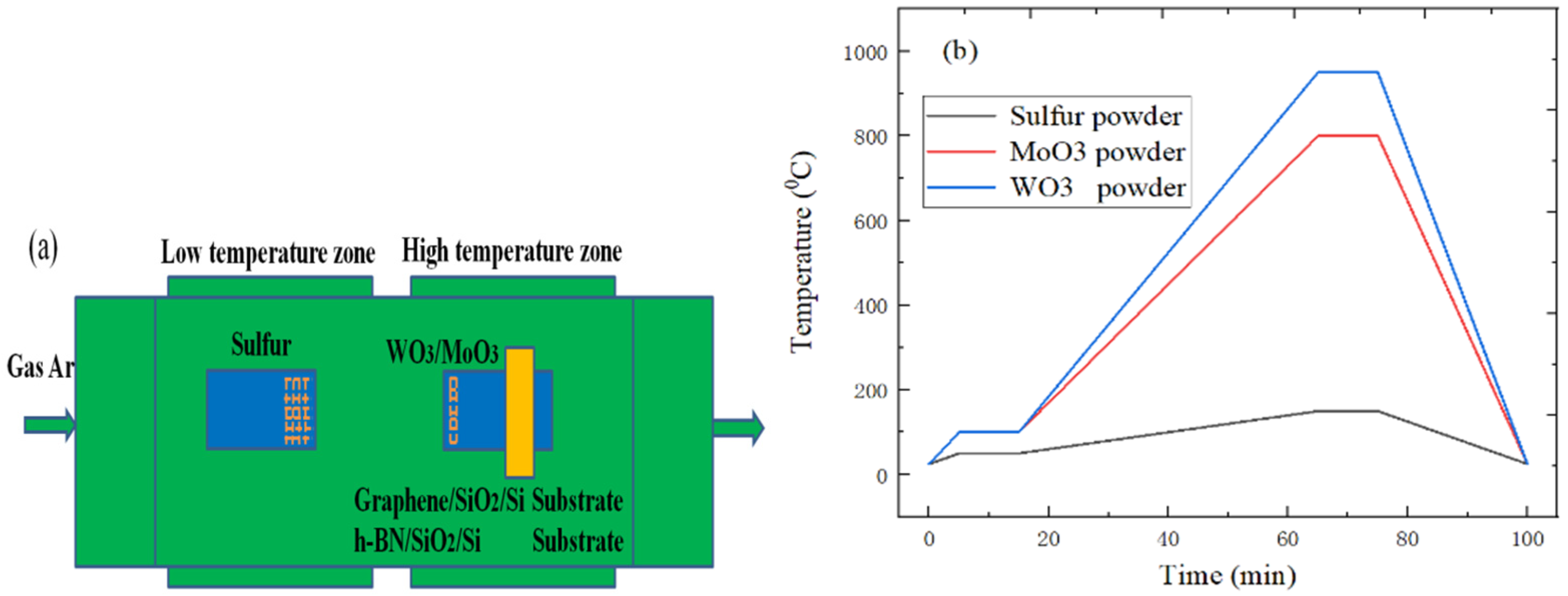 Ijms 22 01246 g014 Ijms 22 01246 g014