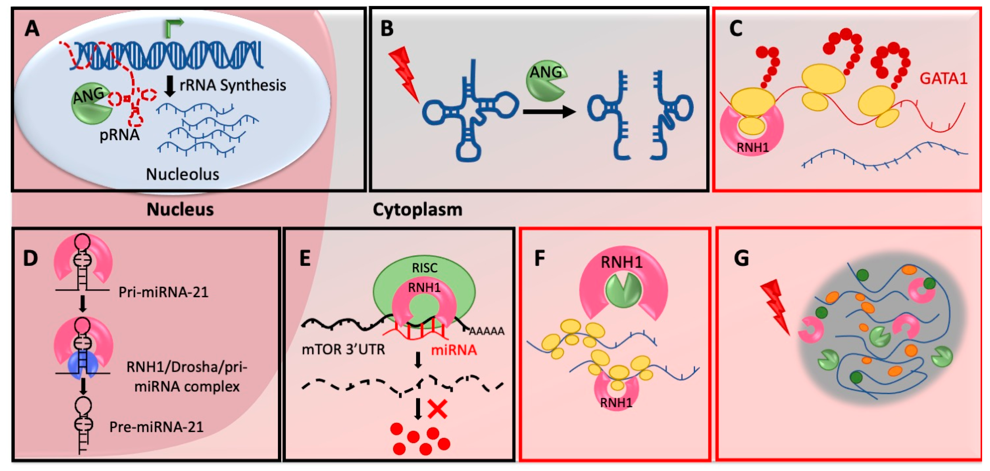 Ijms 22 01287 g001 Ijms 22 01287 g001