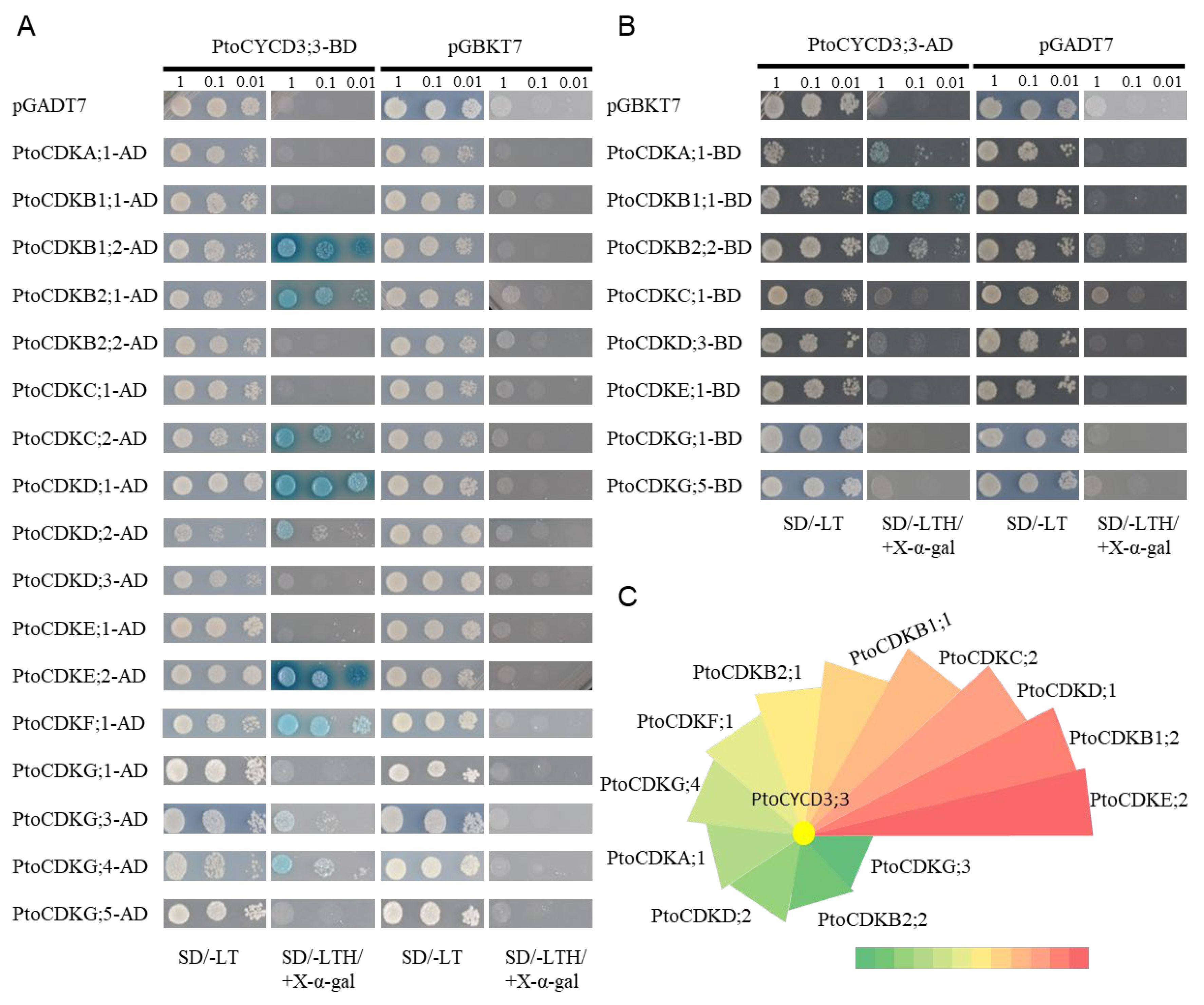 Ijms 22 01288 g007 Ijms 22 01288 g007