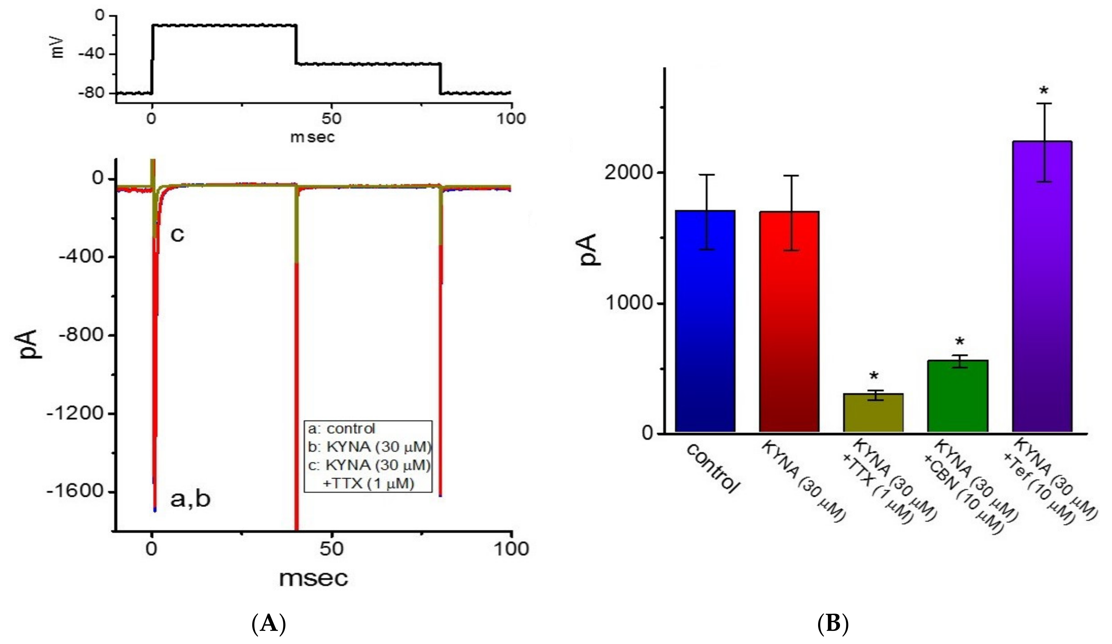 Ijms Free Full Text Effective Activation By Kynurenic Acid And Its